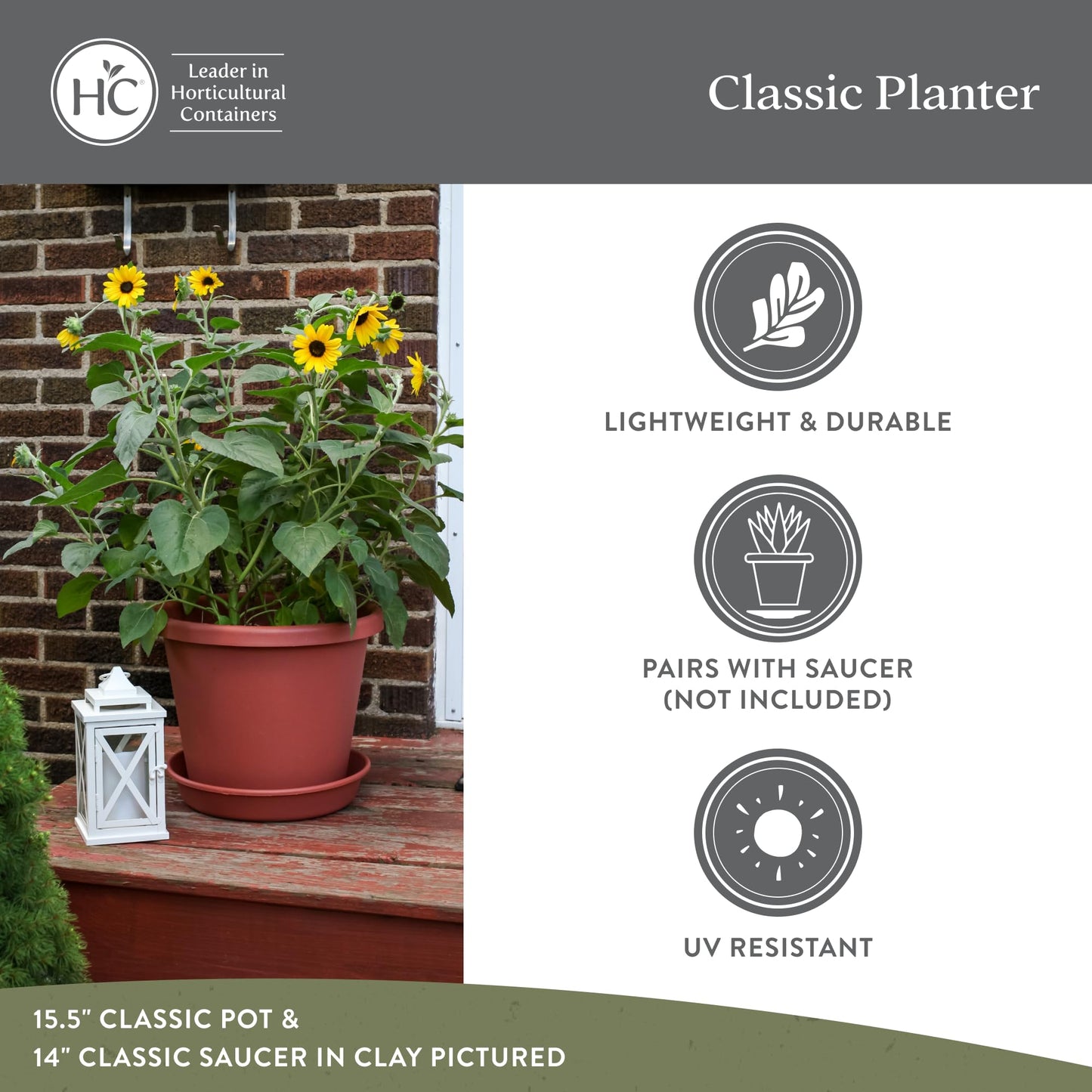 The HC Companies 11.5 Inch Classic Round Planter Pots with Drainage, Rolled Rim Plastic Planters for Indoor & Outdoor Plants, 2-Pack Decorative Flower Pots for Garden, Office & Home Decor, Chocolate