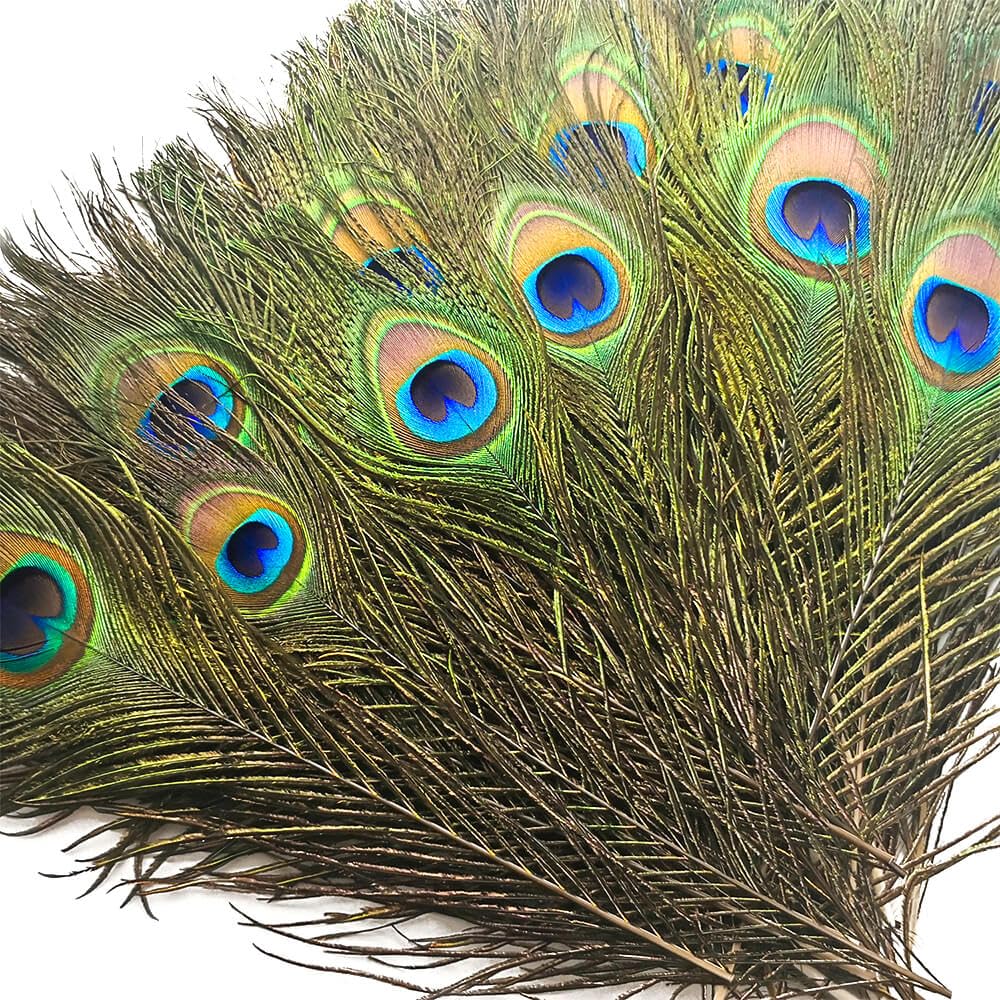 Piokio 50 pcs Peacock Feather in Bulk 10-12 inch(25-30 cm) Bulk for DIY, Craft Vase Wedding Home Party Christmas Day Peacock Feathers Decoration