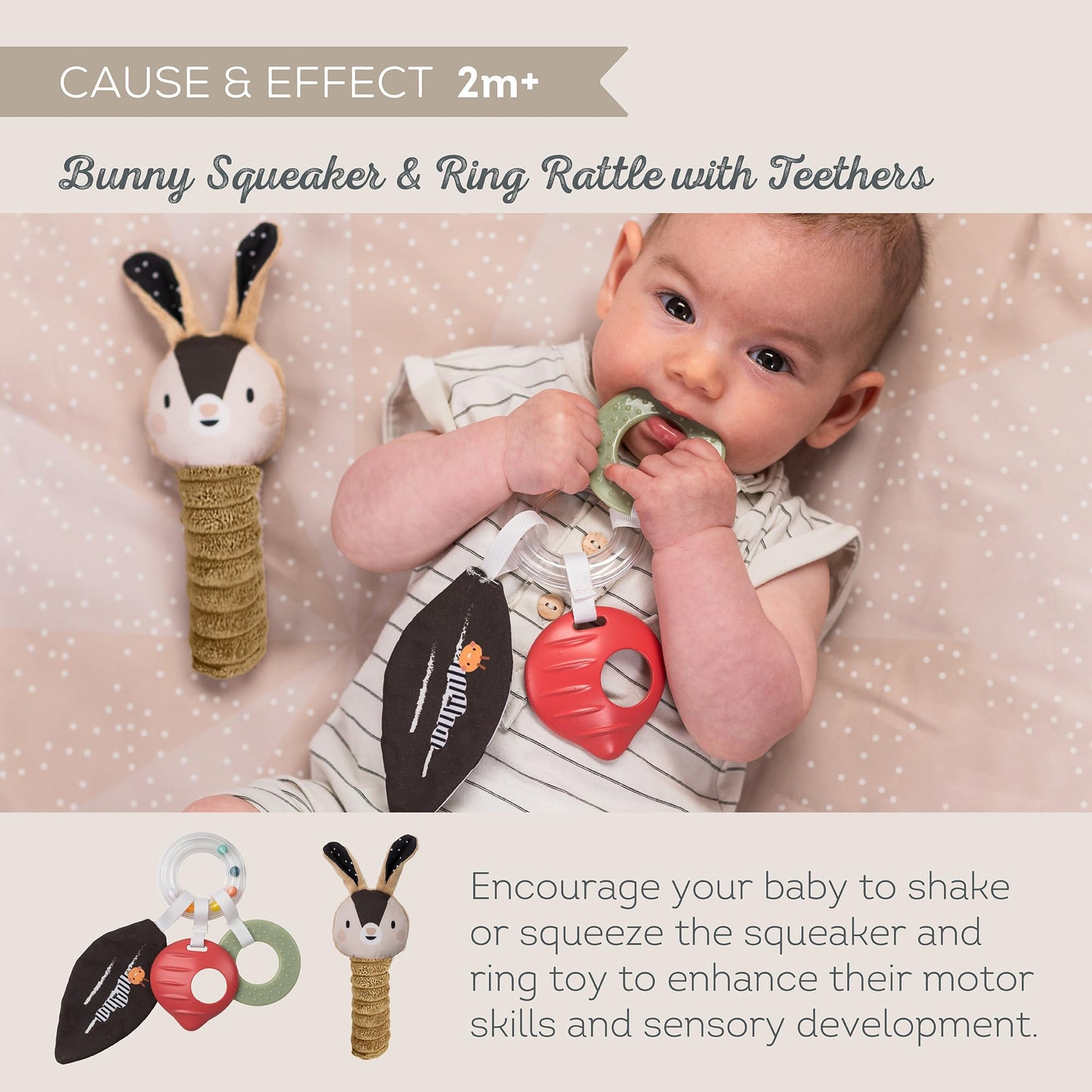 Taf Toys Black and White Newborn Kit - 10 Black and White Baby Toys, High Contrast for Newborn, Baby Essentials Must Haves, Tummy Time Toys for Motor Skills Infants Babies 0 3 6 Months