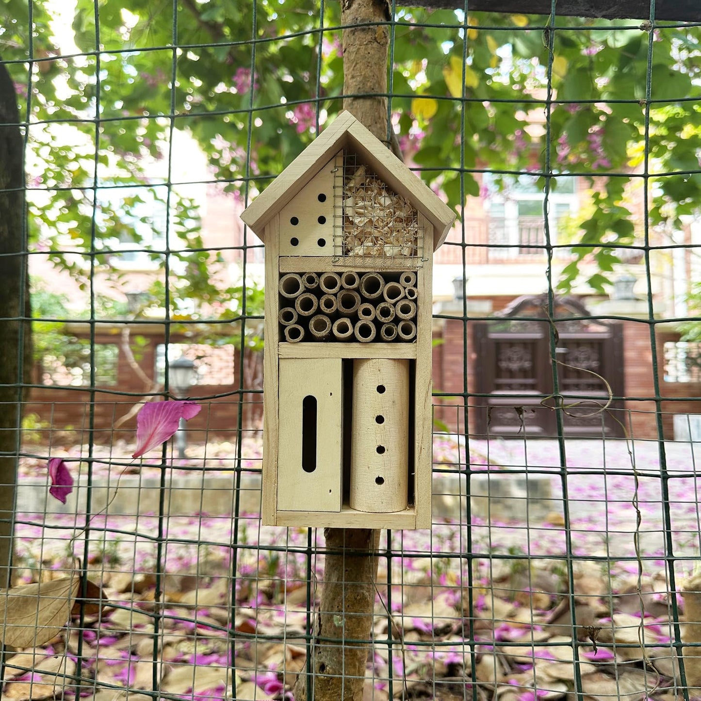 Wooden Insect Hotel for Garden - Bee House & Ladybug House, Pollinator Bug Hotel/Bug House to Attract Beneficial Garden Insects (Natural Wood Color)