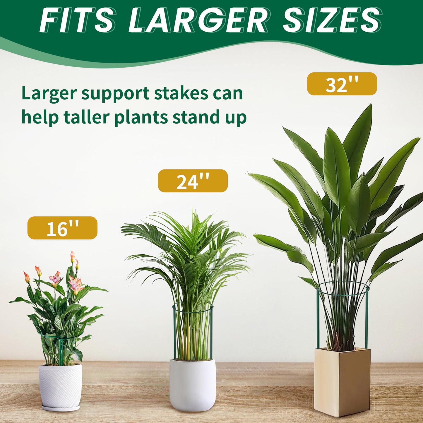 TCBWFY 14" Dx32 H Plant Supports Stakes for Large Heavy Plants,10Pack Peony Supports,Heavy Duty 5mm Wire Peony Cages,Interlock Garden Supports Ring Border Support,Plant Support Cage for Rose Flower