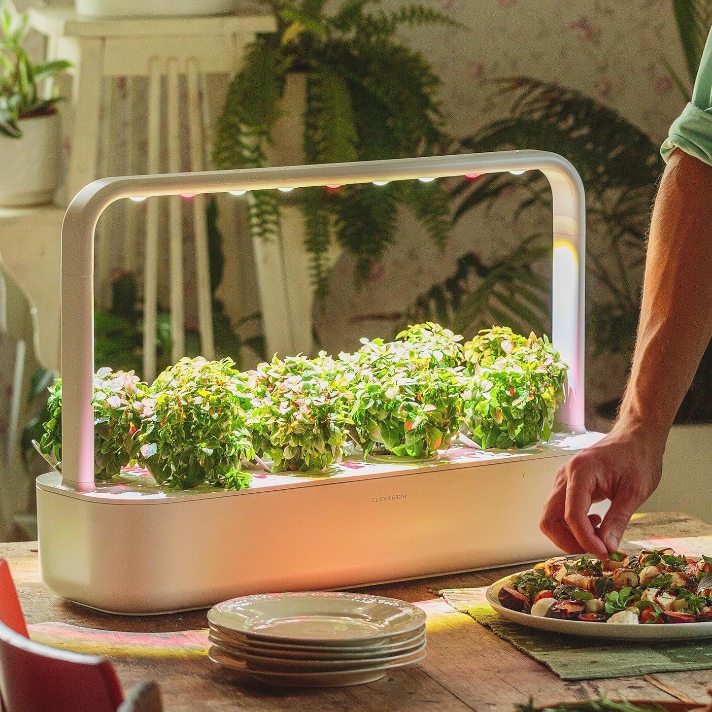 Click & Grow Indoor Herb Garden Kit with Grow Light | Easier Than Hydroponics Growing System | Smart Garden for Home Kitchen Windowsill | Vegetable & Herb Garden Starter Kit with 9 Plant pods, White