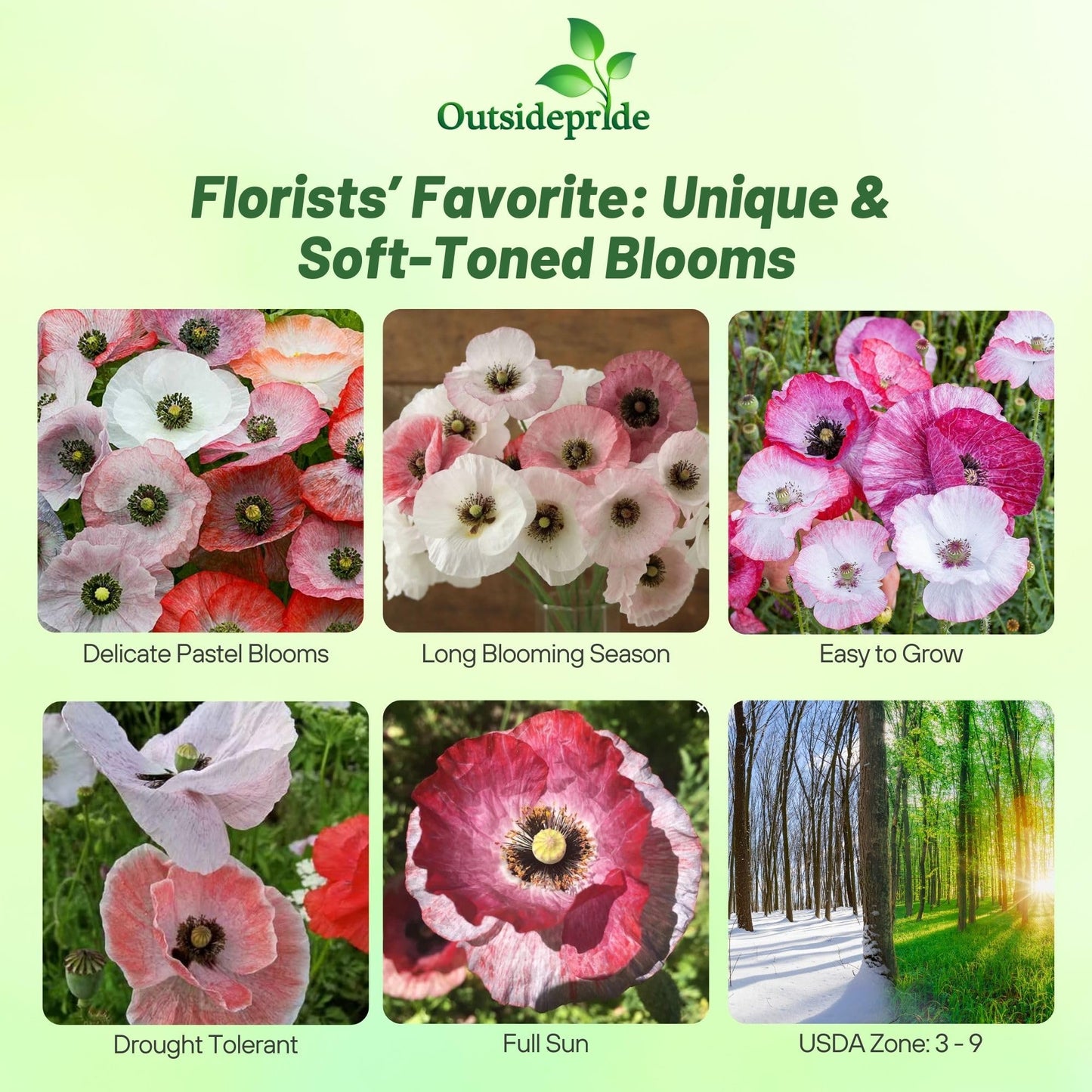 Outsidepride Mother of Pearl Poppy Seeds for Planting - 500 Pcs Annual, Drought-Tolerant & Easy to Grow Wildflower Seeds with Vibrant Mix Blooms for Landscaping, & Pollinator Garden