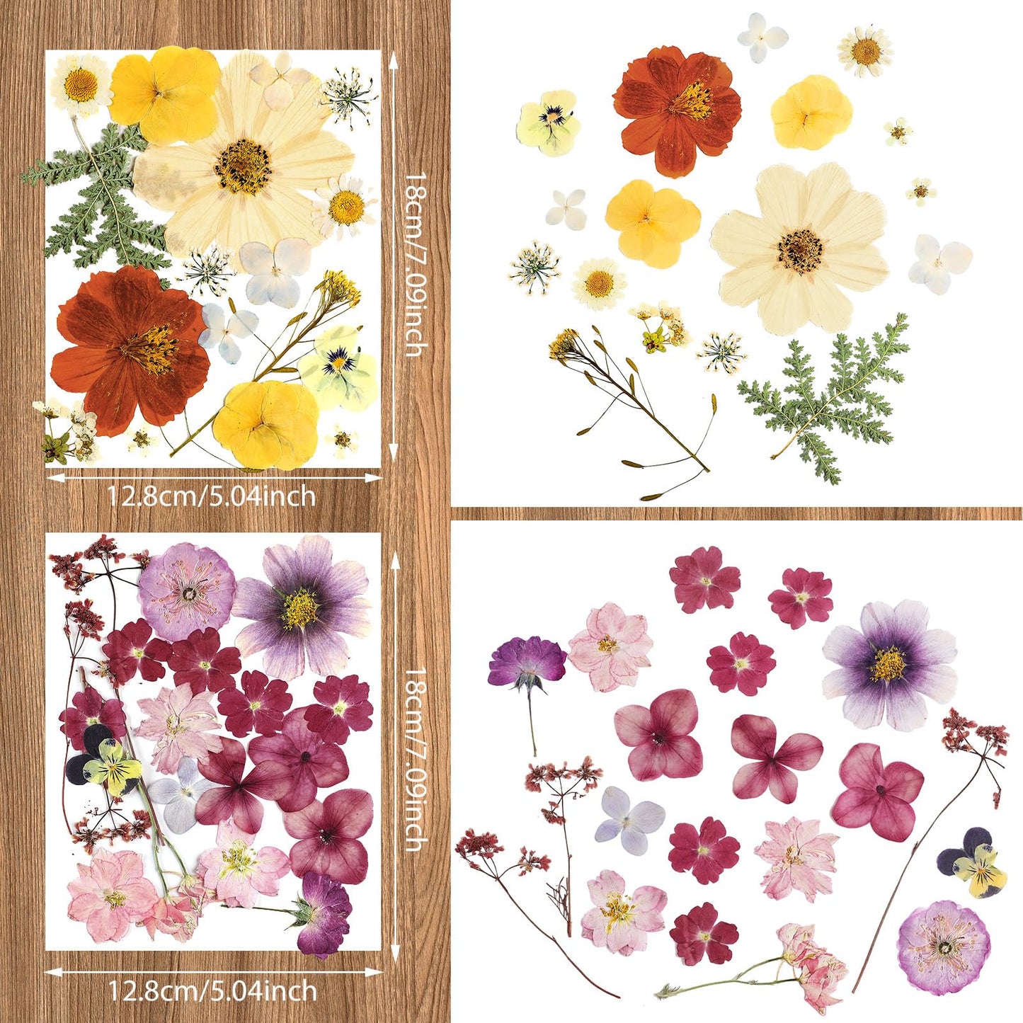 Nuanchu Dried Pressed Flowers for Crafts Resin Mother's Day Crafts Supplies Pressed Flowers Bulk Purple Dried Wildflowers Leave Natural with Tweezer DIY for Resin Mold Scrapbooking Nail Soap Making