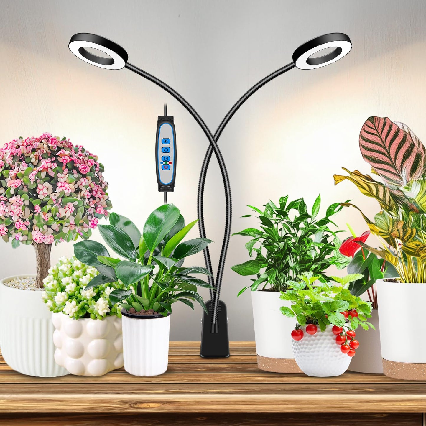 Eurbolan Grow Lights for Indoor Plant, Halo LED Grow Light with Clip, Upgrade 96 LEDs Clip On Plant Lights, Full Spectrum LED Plant Growing Lamp with 3 Modes & 5 Dimmable Levels, Auto Timer 6/12/16H.