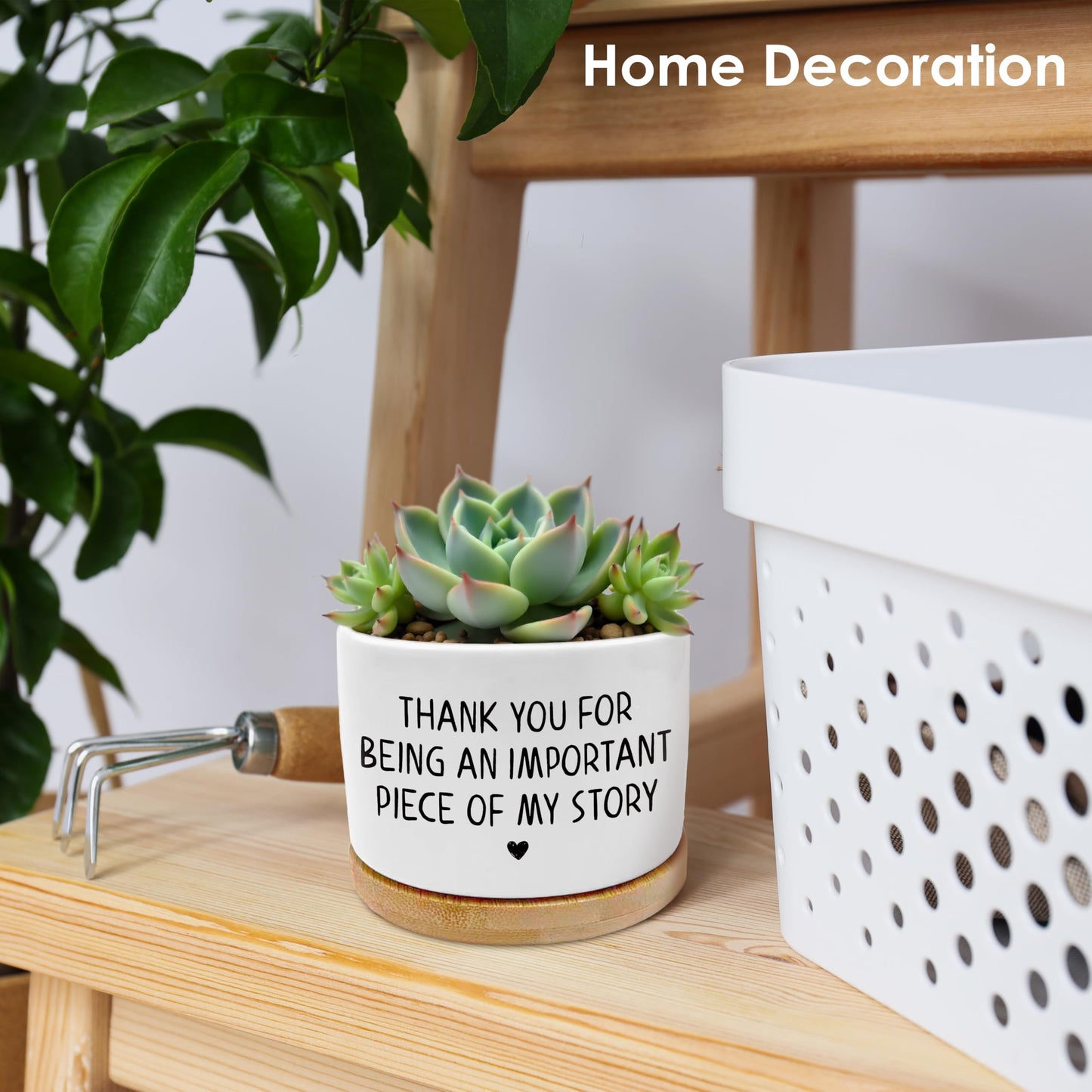 ROXMART Thank You Gifts Plant Pots, Appreciation Gifts for Women Succulent Planters, Thank You for Being Piece of My Story Ceramic Plant Flower Pots for Home Office Desk Table Shelf(No Plants)