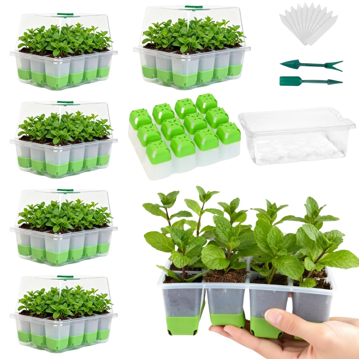 ZSYWODFO Silicone Seed Starter Tray with Humidity Dome, Indoor Seedling Starter Kit, 5-Pack Flexible Germination Trays - Adjustable Vent, Reusable & Dishwasher Safe for Herbs/Vegetables/Flowers
