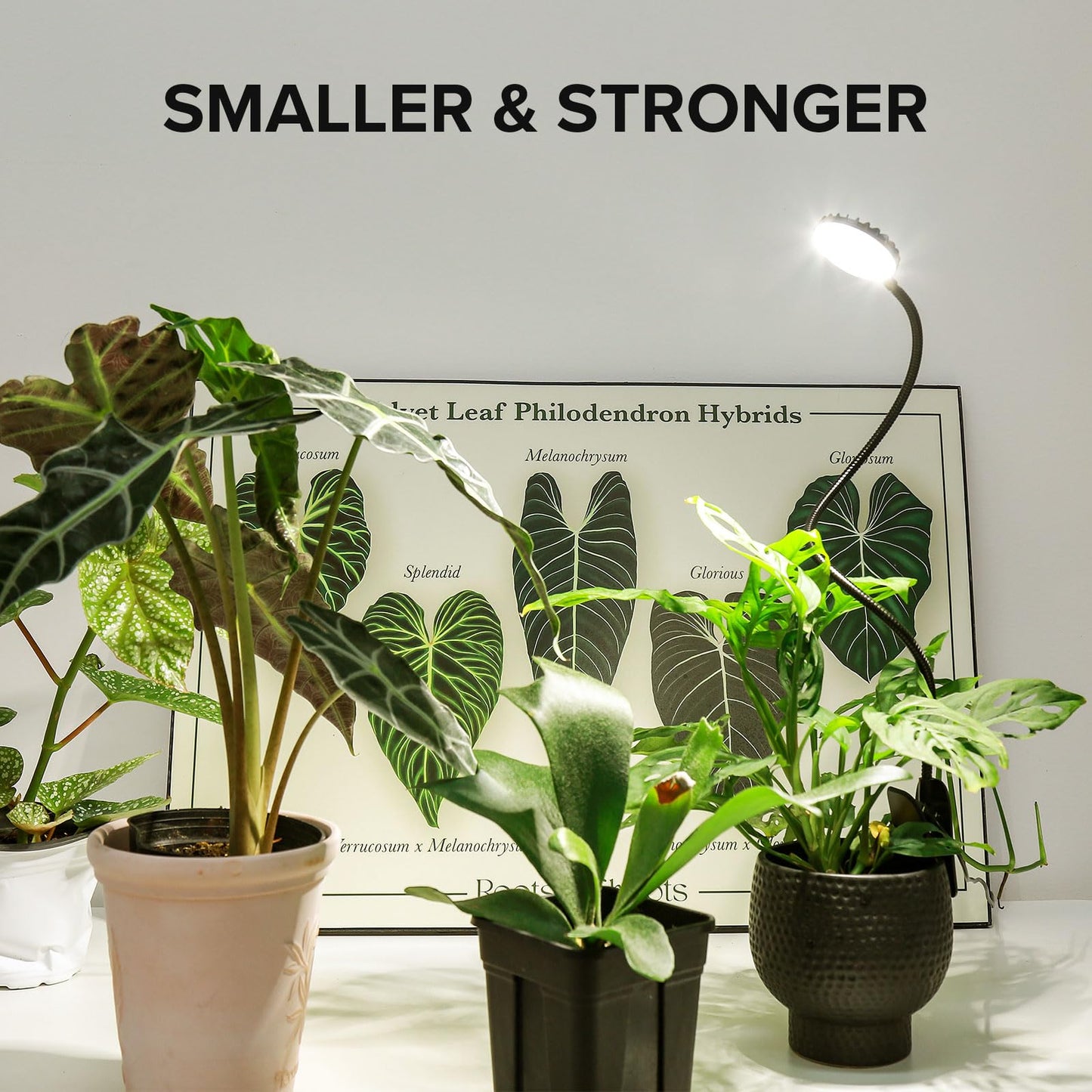 SGLEDs Grow Lights for Indoor Plants, Full Spectrum Plant Grow Lights, 4000K Pot Clip LED Plant Lamps for Indoor Growing with Auto Timer, 4 Dimmable Modes Clip on Light for Succulents 1 Pack