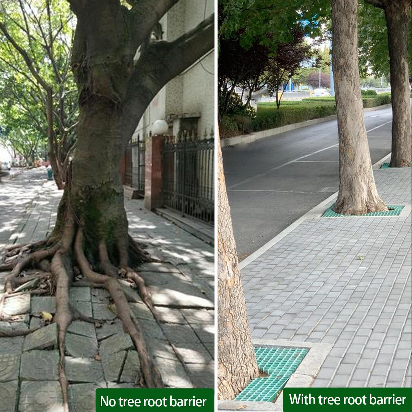 20ft x 24in x 60mil Tree Root Barrier Bamboo Barrier Rhizome Control Barrier for Landscaping and Protection Roads