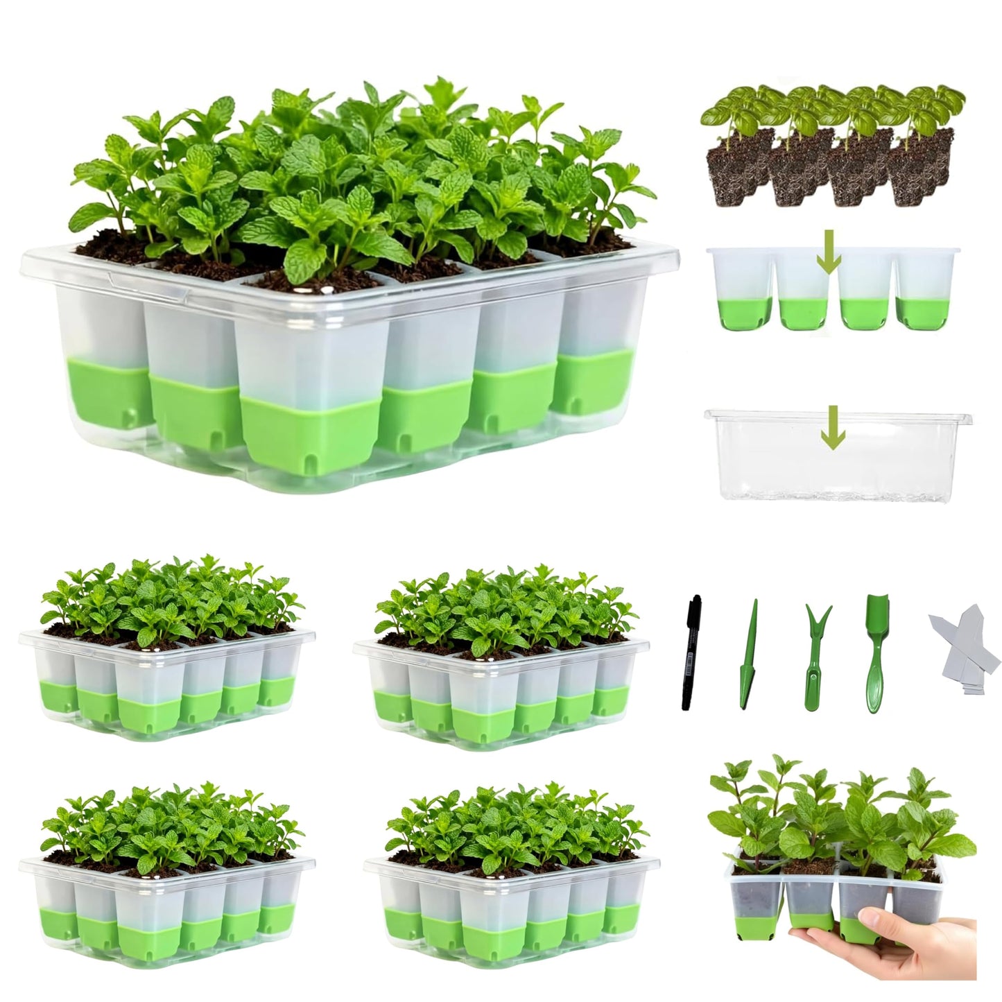 5-Pack Reusable Silicone Seed Starter Kit,Reusable 60Cell Seed Starter Trays with Easy Push-Out Design,Foldable Design for Easy Transplanting,Indoor Gardening Supplies for Vegetables, Flowers & Herbs