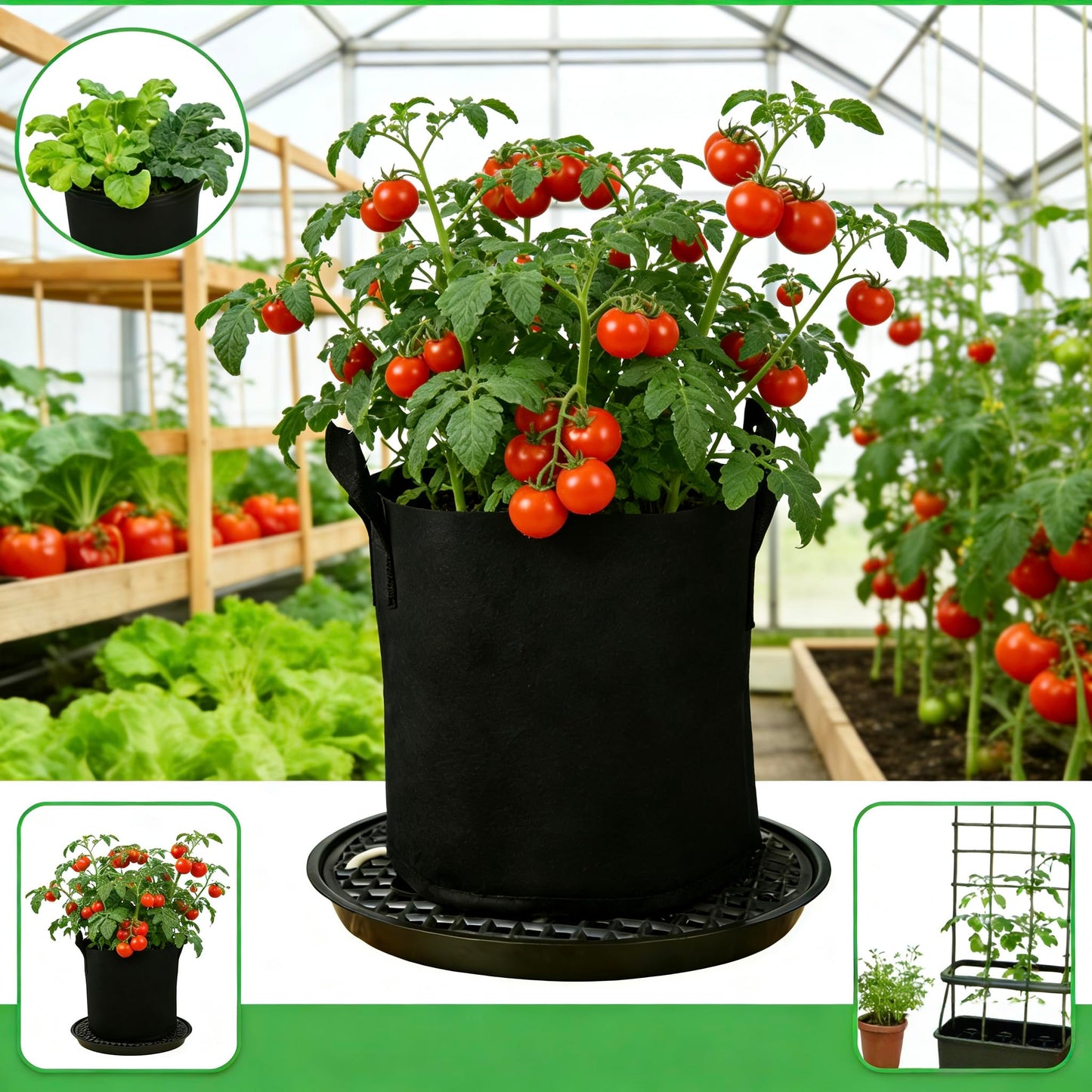 8 Pack 12 inch Self Watering Base for Fabric Grow Bag, Self-watering Plastic Elevated Plant Saucer Stand, Automatic Watering Tray for Non-woven Planter Flower Pot Growth Tent Greenhouse Indoor Outdoor
