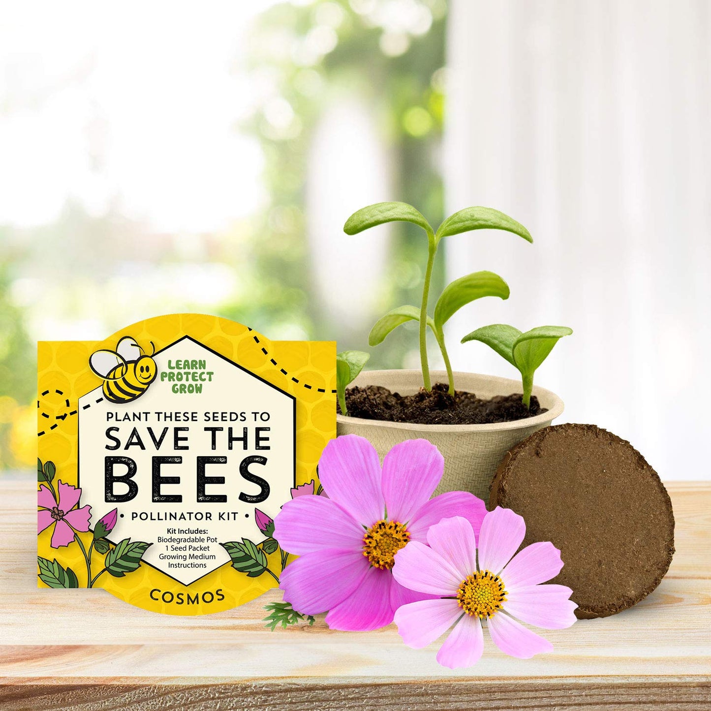 BUZZY Seeds Save The Bees Grow Kit, 12 Biodegradable Mini Flower Pots with Wildflower Seed Packets, Indoor Outdoor Planting Starter Set, DIY Gardening Gift, Sustainable Party Favors Adults