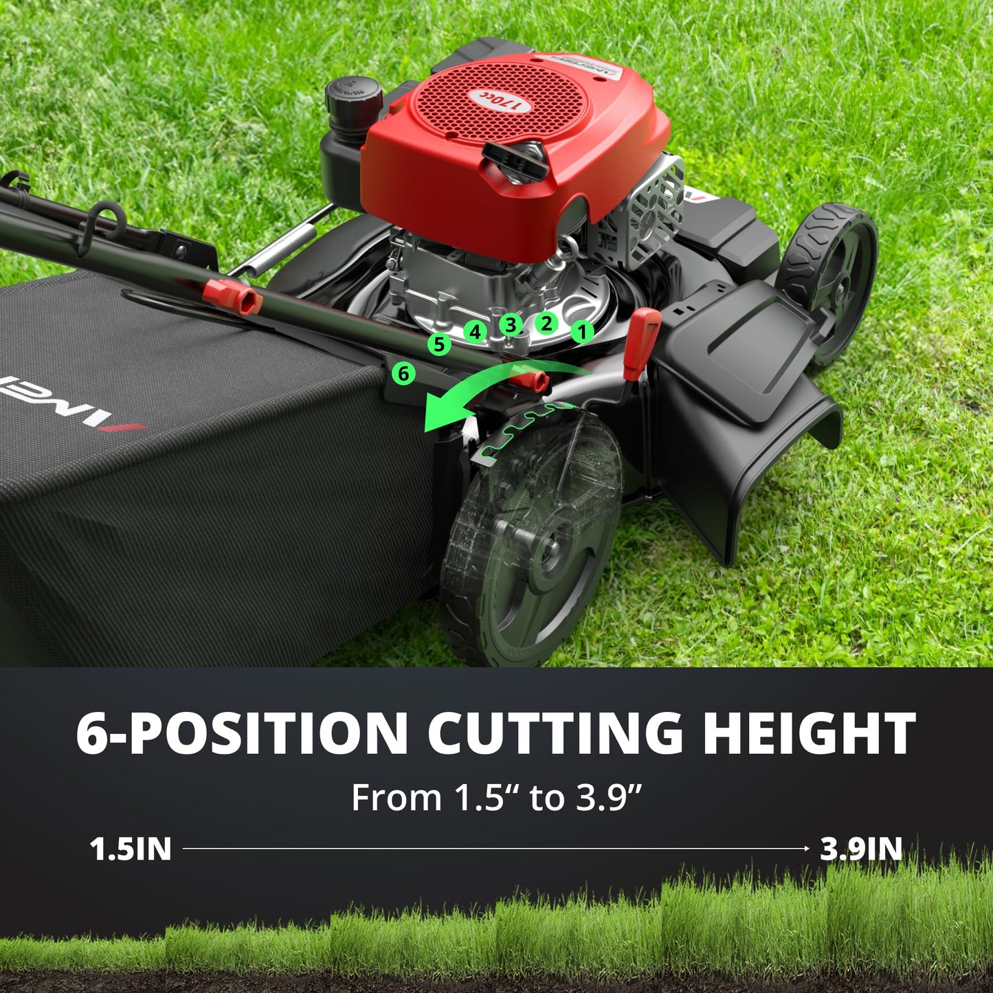 AMERISUN 21-Inch Self-Propelled Gas Lawn Mower for Large Yard, 170cc 4-Stroke Engine, 6-Position Adjustable Cutting Height, 3-in-1 Mulching, Side Discharge & Rear Bag for Garden Landscaping