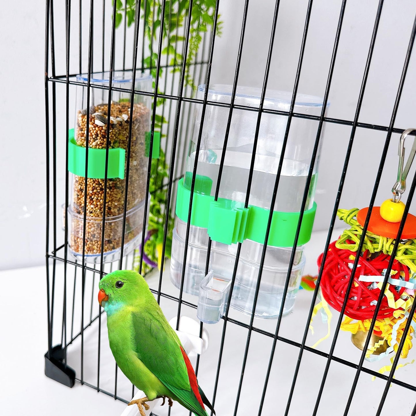 Automatic Bird Water Dispenser Parrot Water Feeder Bird Seed Food Container Parakeet Waterer Cockatiel Cage Accessories Automatic Feeding for Finch Lovebird Canary Small Birds(2Pcs)