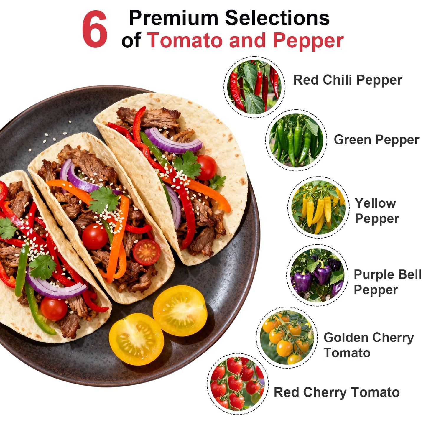 Salsa Garden Seed Pod Kit for AeroGarden, idoo, Ahopegarden, MUFGA with Red Chili/Green/Yellow/Purple Bell Pepper, Red/Golden Cherry Tomato - Hydroponics Supplies for Most Brand (7-pod)