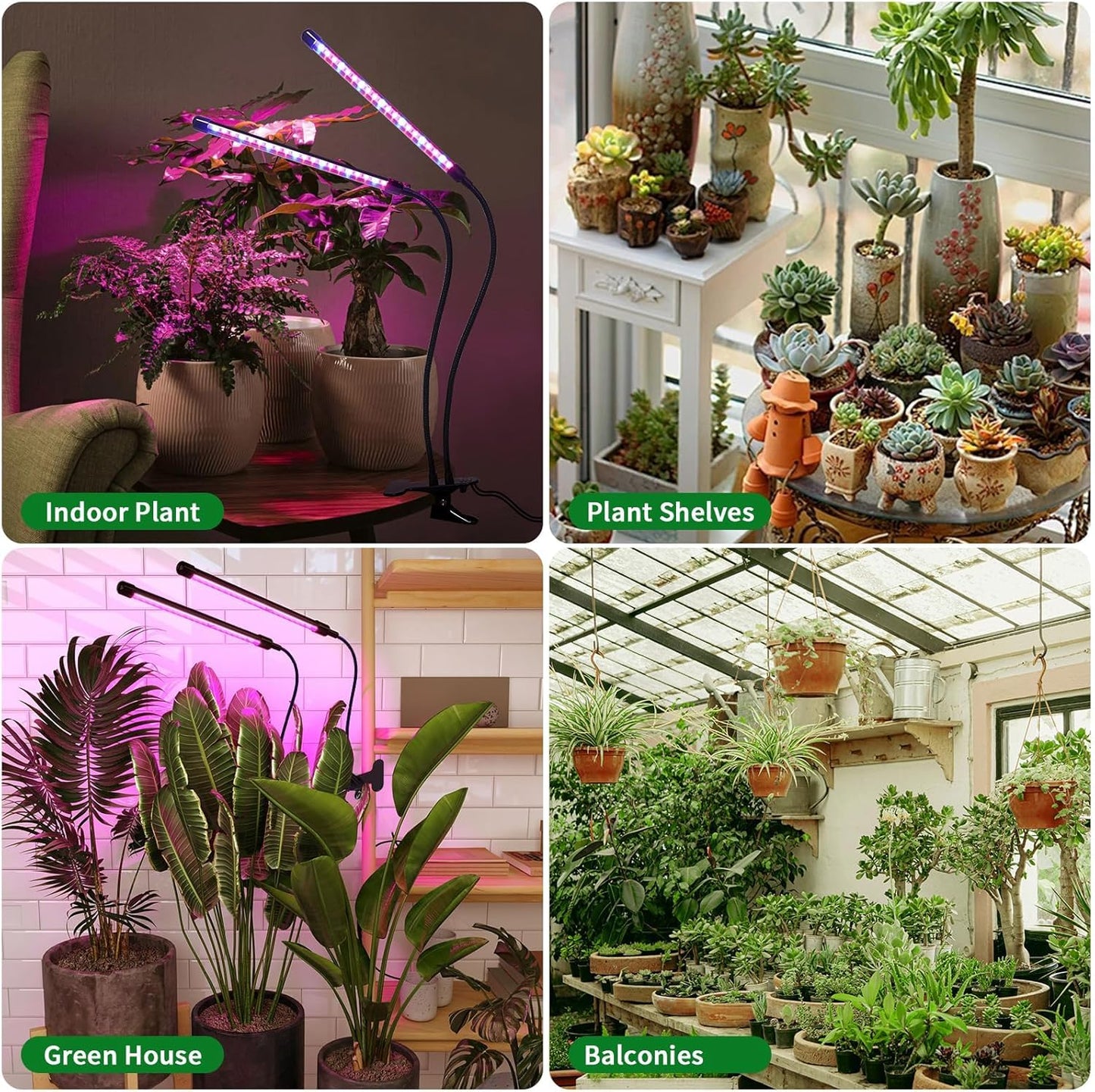 Teilybao Solar-Powered Grow Lamp with Battery, 2-Head 40 LED Full Spectrum Clip Light, 16.4FT Cable, USB Charging, Timer & Dimmable Settings for All Growth Stages