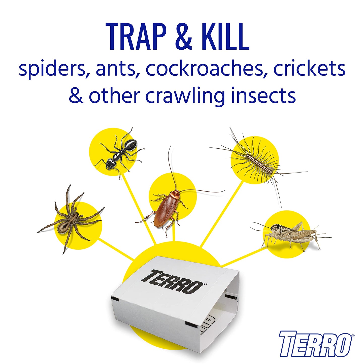 TERRO T3206SR Non-Toxic Indoor Spider, Ant, Cockroach, Centipede, & Insect Traps - Includes 12 Bug Traps Indoor for Homes