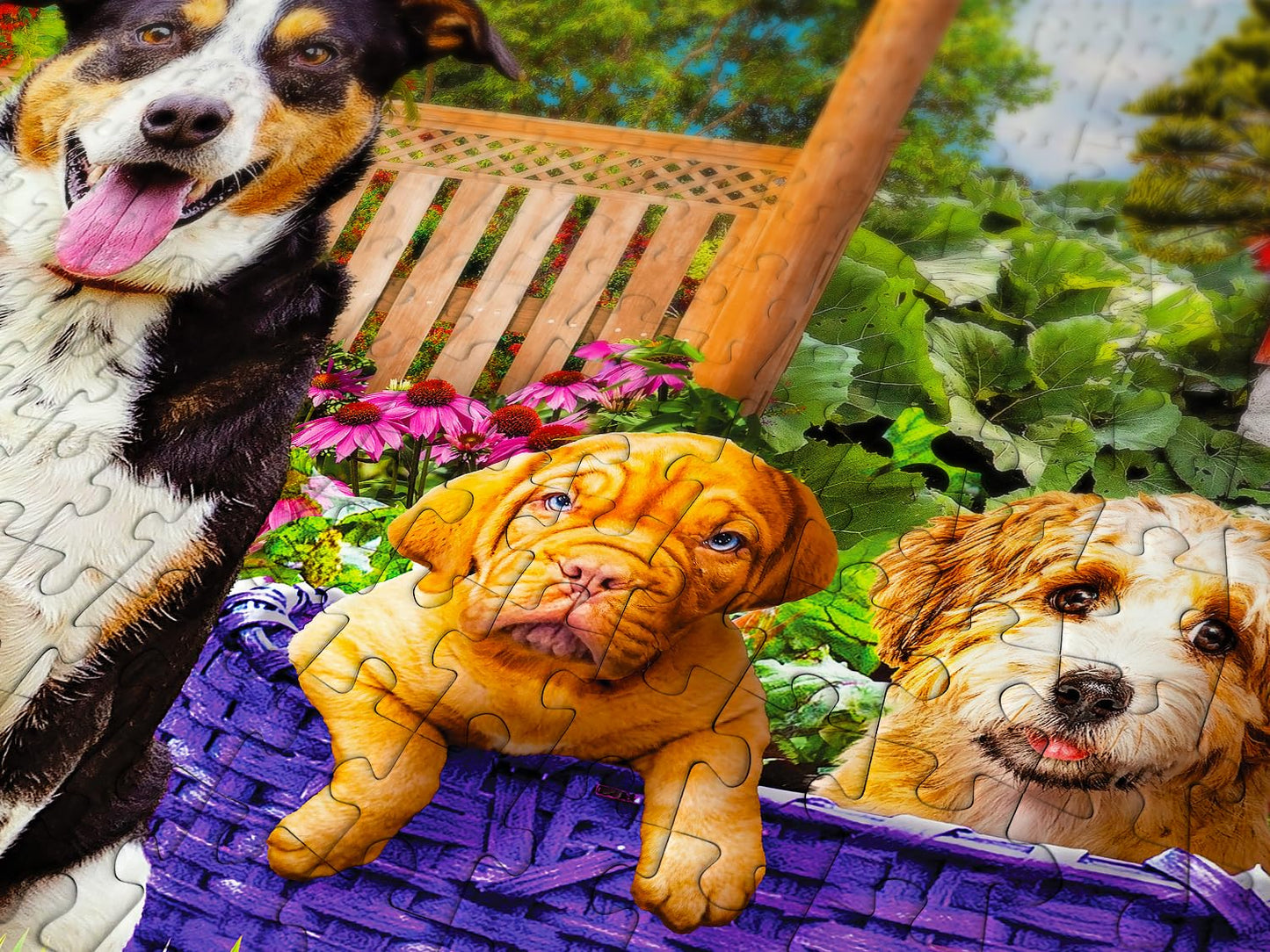 1000 Piece Jigsaw Puzzle for Adults - Colorful Dogs & Puppies in Flower Garden, Matte Anti-Glare, Unique-Shape Pieces, Sturdy 2mm Board, 27x19 in Gift for Women | Enjoy Complete-Set Guarantee