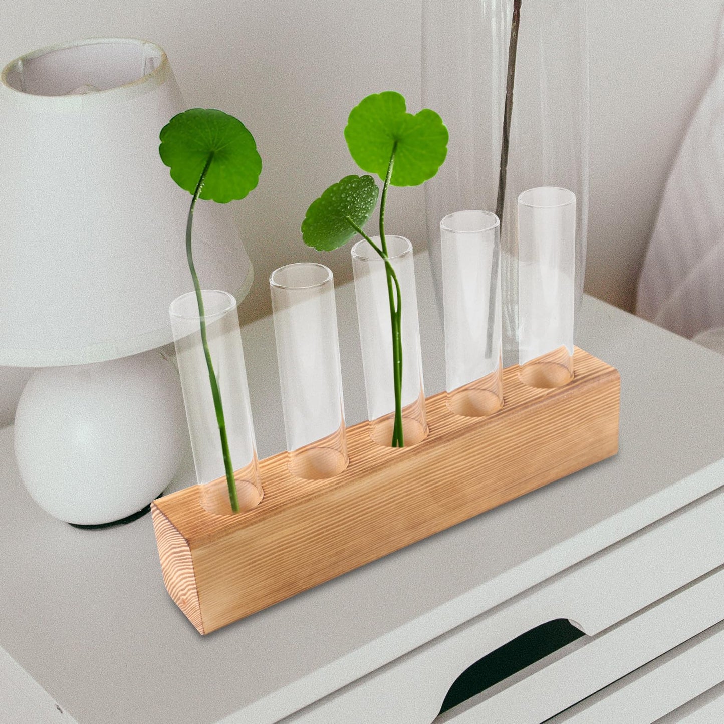 VICASKY Hydroponic Glass Vase with 5-Hole Wooden Stand, Tabletop Plant Propagation Station for Indoor Flower Plant Terrarium and Home Décor