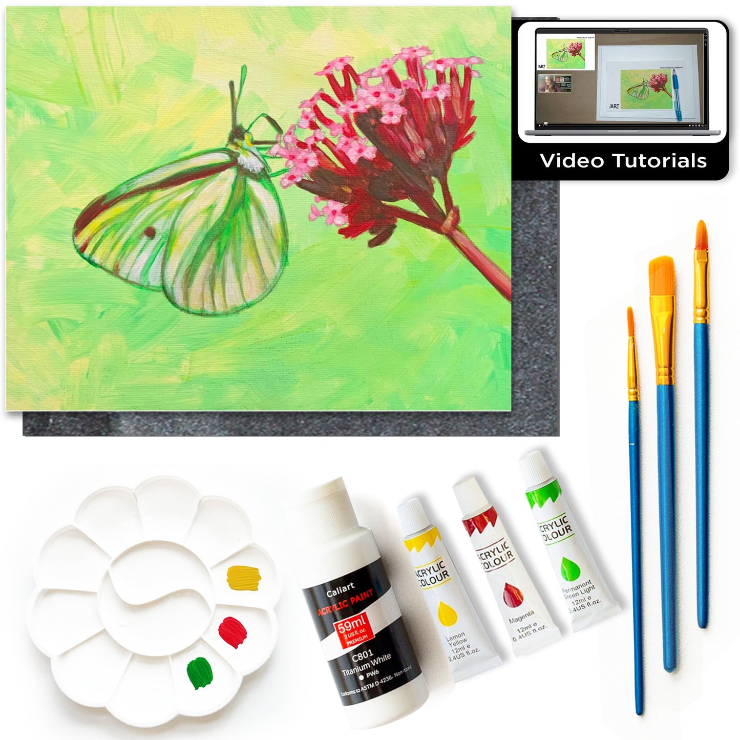 Painting4Real DIY Painting Class Kits for Adults with Video Tutorials, Learn to Paint Moth, How to Paint with Acrylic Paint Sets for Adult, 9 Peices Art Set & Painting Supplies Gifts for Mom