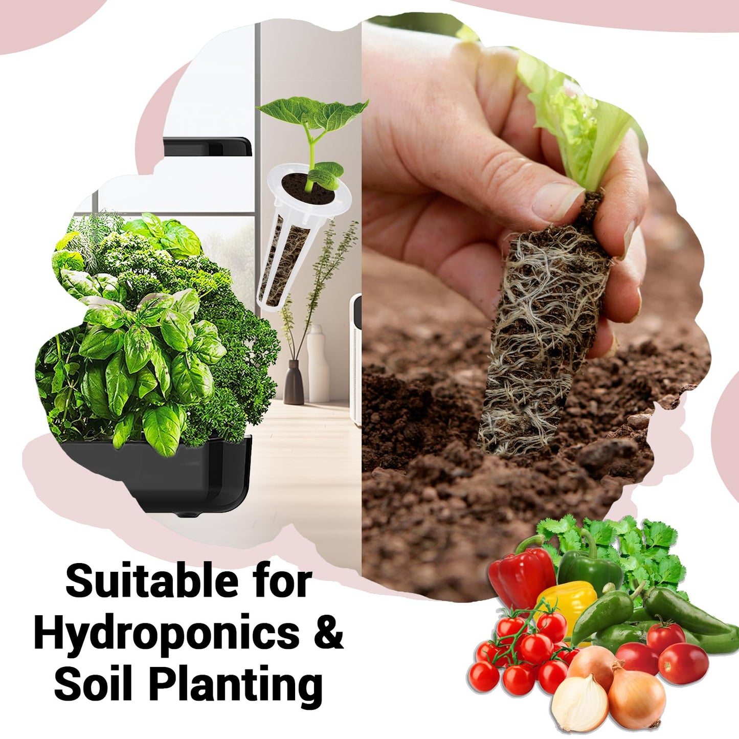 Salsa Garden Seed Pods for All Hydroponics Growing System, 8 Pods with 600+ Seeds of Cherry Tomato, Bell Pepper, Onion, Cilantro, Jalapeno Pepper and Roma Tomato