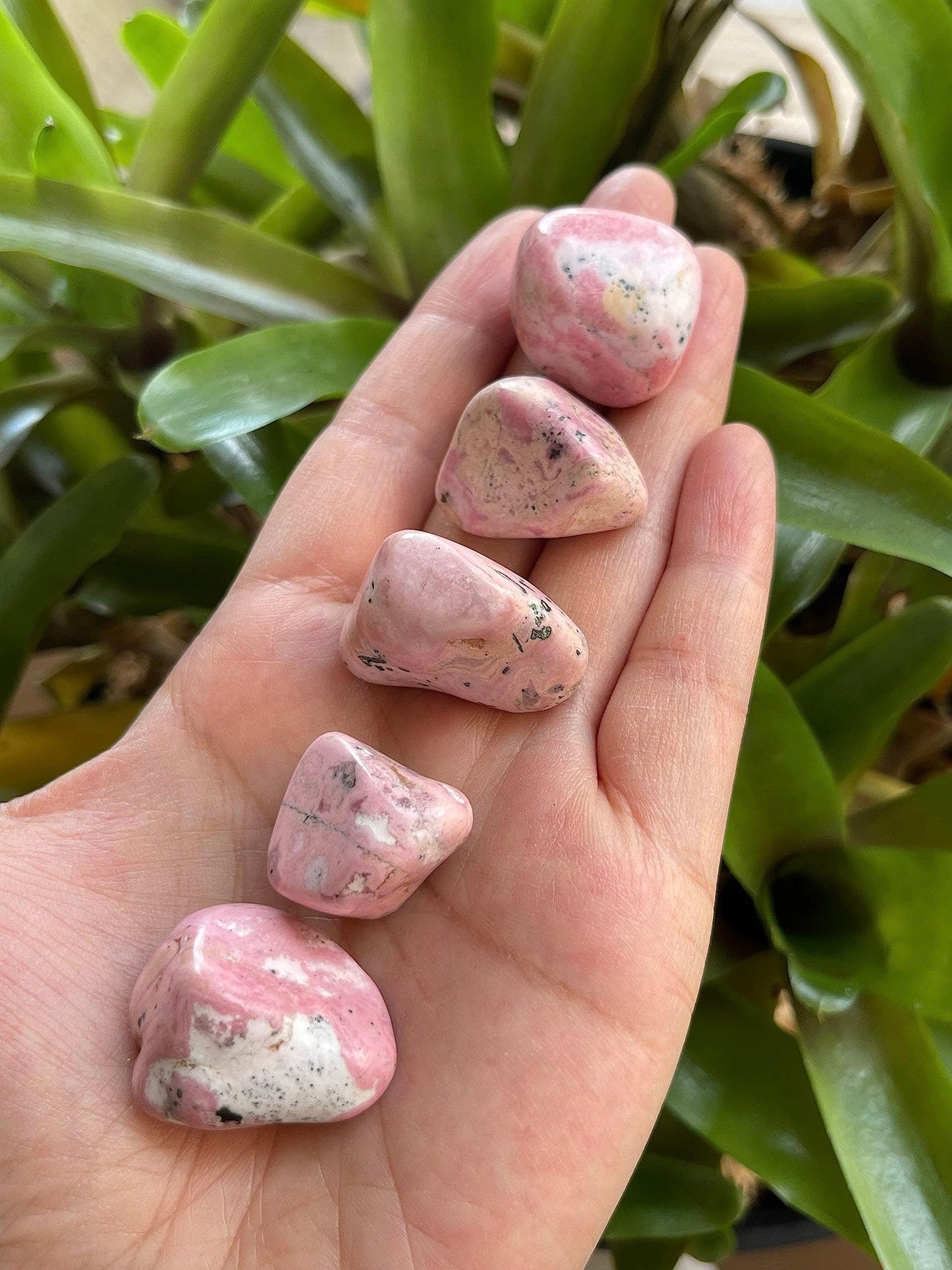 WHOLESALE Rhodonite Tumbled Stones, Polished Rhodonite Gemstone, Rhodonite Polished Rocks (Rhodonite, 0.25 Pound)