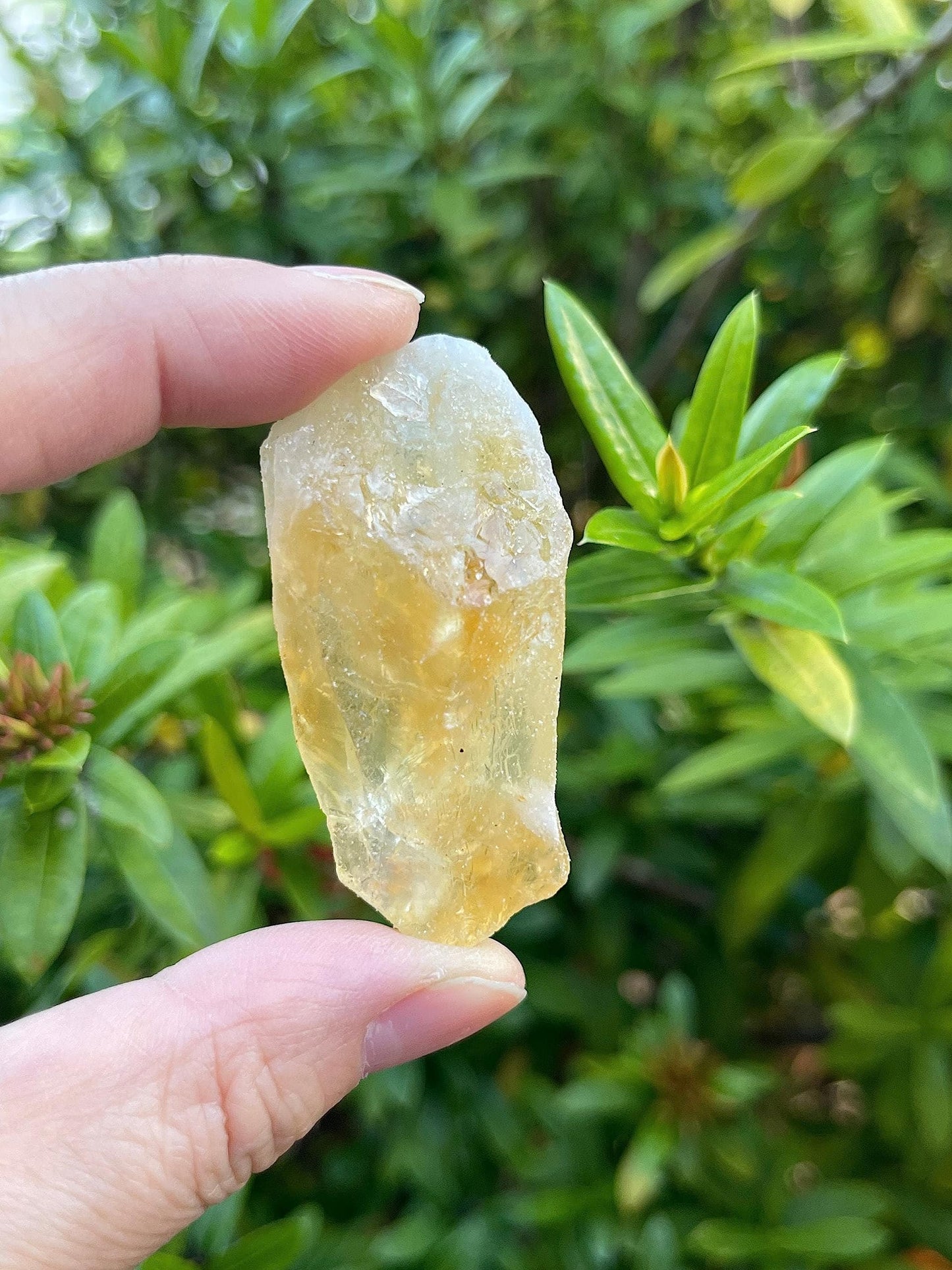GAF TREASURES 3 Pcs Raw Citrine Crystals, Natural Citrine Stone, Natural Rough Citrine Crystals, Citrine Rough, Citrine Healing Crystals (Citrine)