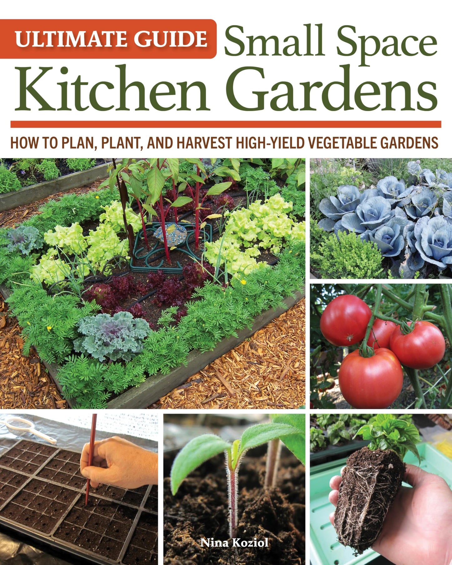 Ultimate Guide: Small Space Kitchen Gardens: How to Plan, Plant, and Harvest High-Yield Vegetable Gardens (Creative Homeowner) Grow Your Own Veggies, Herbs, and Berries the Easy Way, Indoors and Out
