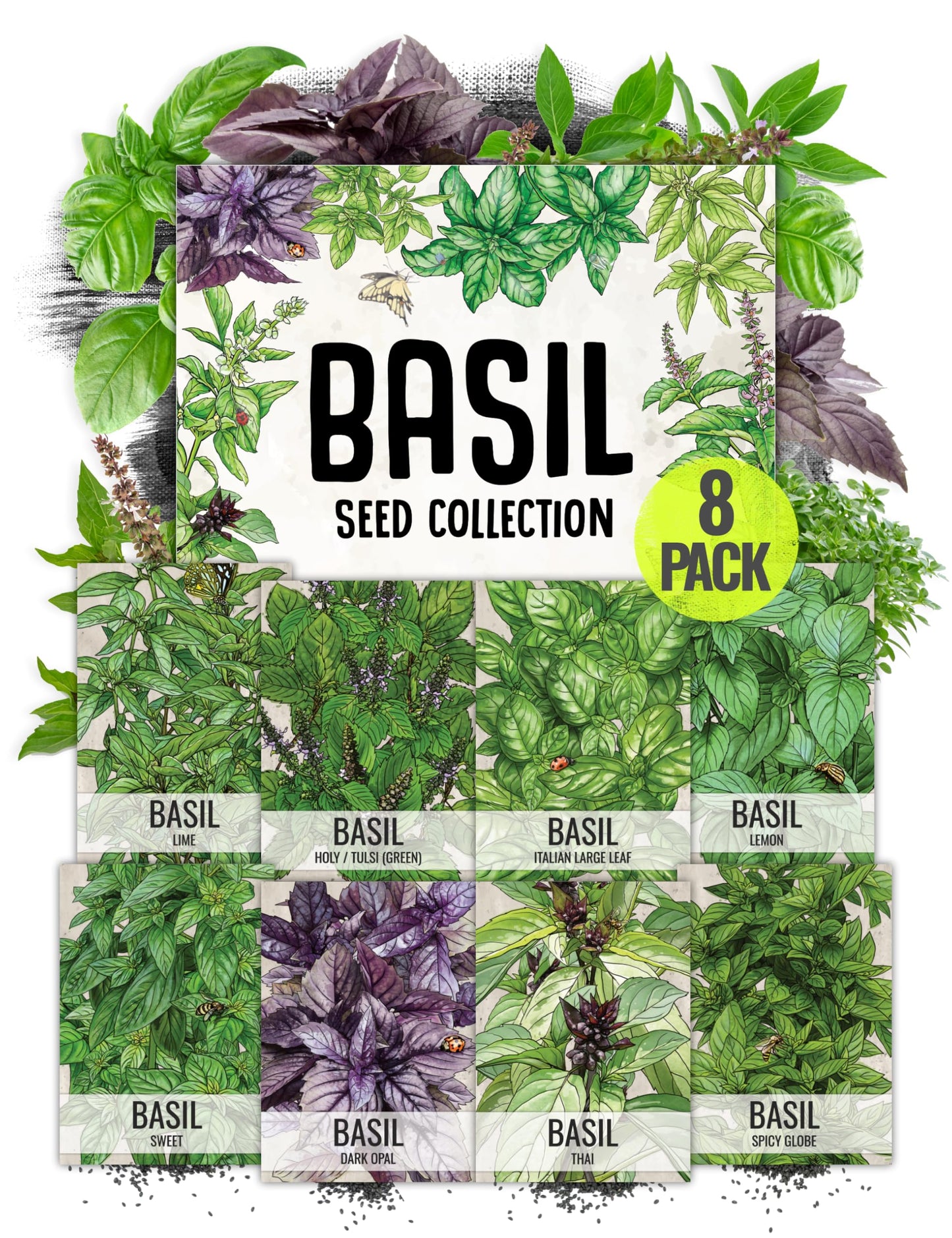 Seed Needs Culinary Basil Herb Seed Packet Collection (8 Individual Basil Seed Varieties for Planting) Non-GMO & Untreated Kitchen Herbs to Plant Indoors/Outdoors