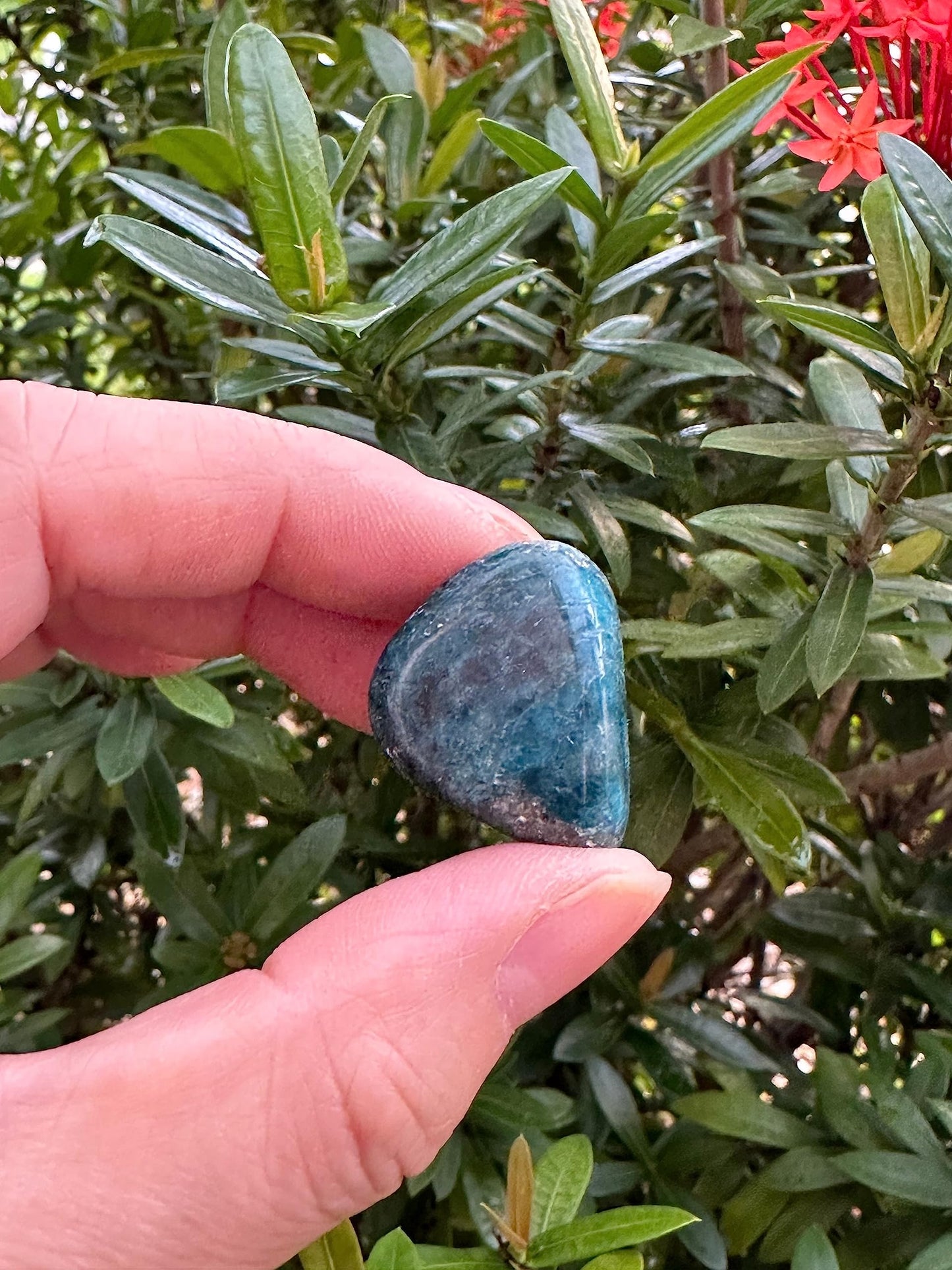 GAF TREASURES 5 Pcs Apatite Tumbled Stones, Polished Apatite Gemstone, Apatite Healing Crystals (Apatite)