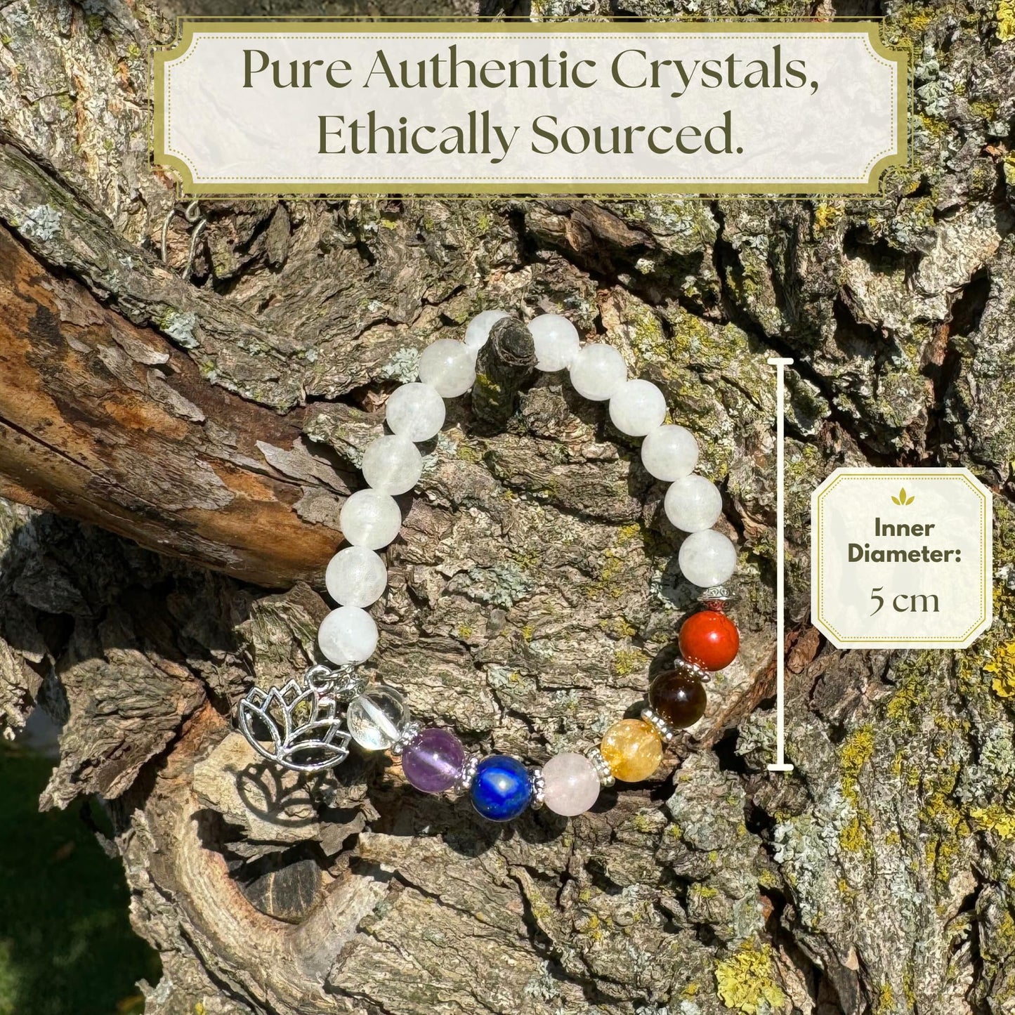 Anima Premium 7 Chakra Bracelets for Women - Medium 8mm Beads Real Healing Crystals and Stones Perfect for Balance, Energy, and Abundance - with Lotus Flower and Charged Energy Card
