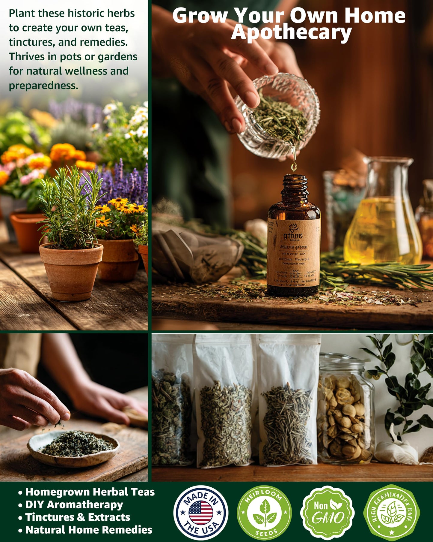 Medicinal & Tea Herb Seeds for Planting - 35 Non-GMO Variety Pack for Indoor/Outdoor Garden: Anise, Bergamot, Borage, Fennel, Chamomile, Dandelion, Oregano, Hyssop, Catnip Seeds & More