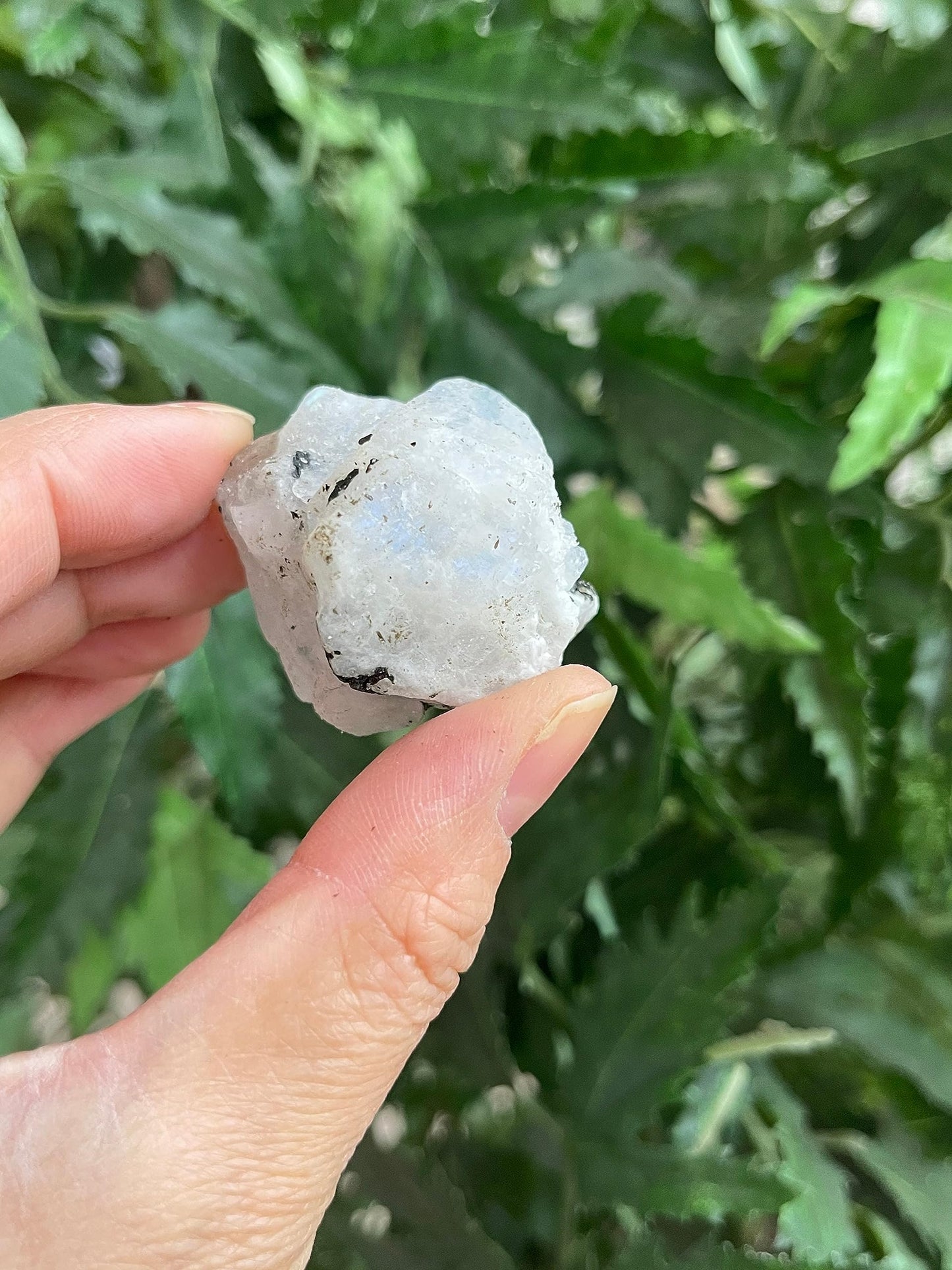 GAF TREASURES Wholesale Raw Rainbow Moonstone Crystals, Natural Rainbow Moonstone Stone, Rainbow Moonstone Rough, Rainbow Moonstone Healing Crystals (Rainbow Moonstone, 0.25 Pound)