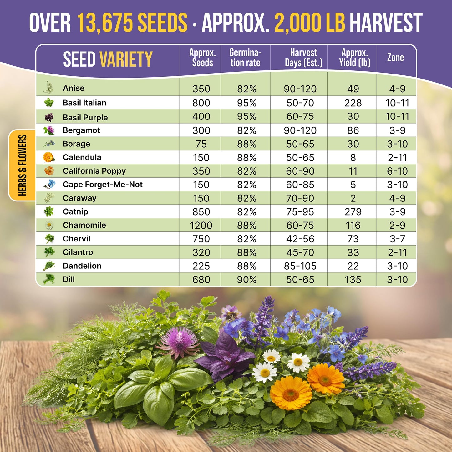 Organo Republic 30 Medicinal Tea Herb & Flower Seeds Variety Pack - 13600+ Non-GMO Heirloom Flower Seeds for Outdoor & Indoor Garden, Including Bergamot, Catnip, Calendula, Dandelion, Lovage, Zinnia
