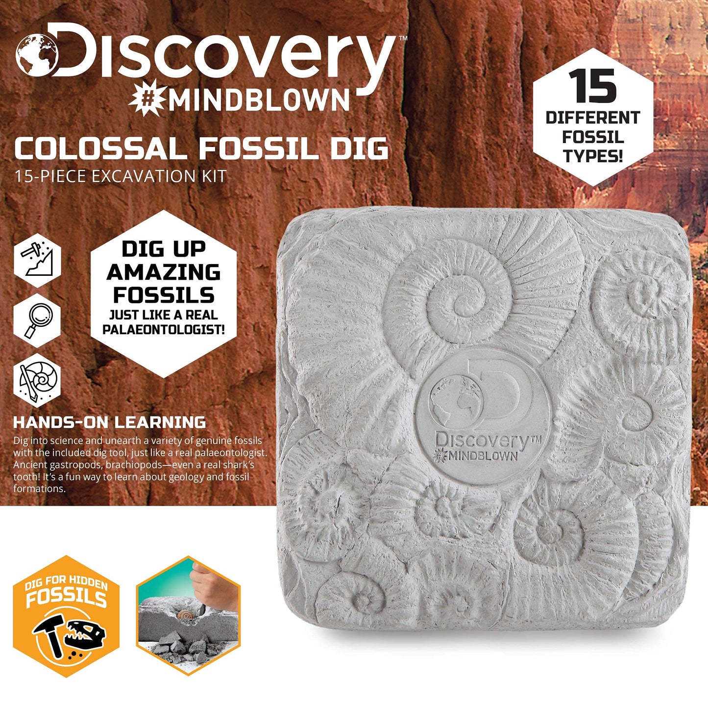 Discovery Colossal Fossil Dig Set, 15-Piece Archeology Excavation Kit, Uncover Real Shark Teeth and More, STEM Toys for Boys and Girls