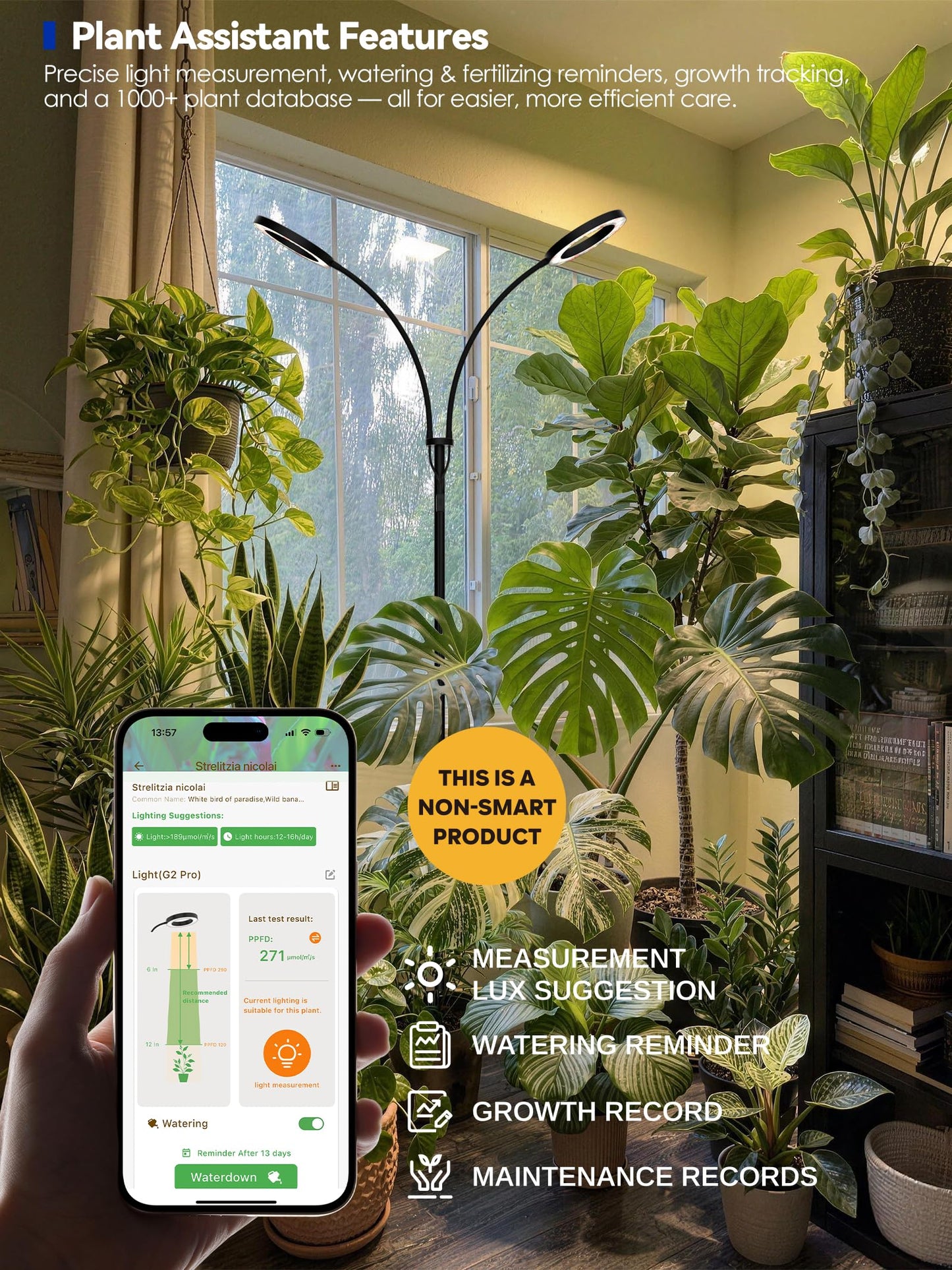 GLOWRIUM Grow Lights for Indoor Plants, Full Spectrum LED Grow Light Floor Lamp with Stand Adjustable Height and Angle, Black Plant Light with 3/9/12H Grow Light Timer (Black, 20W)