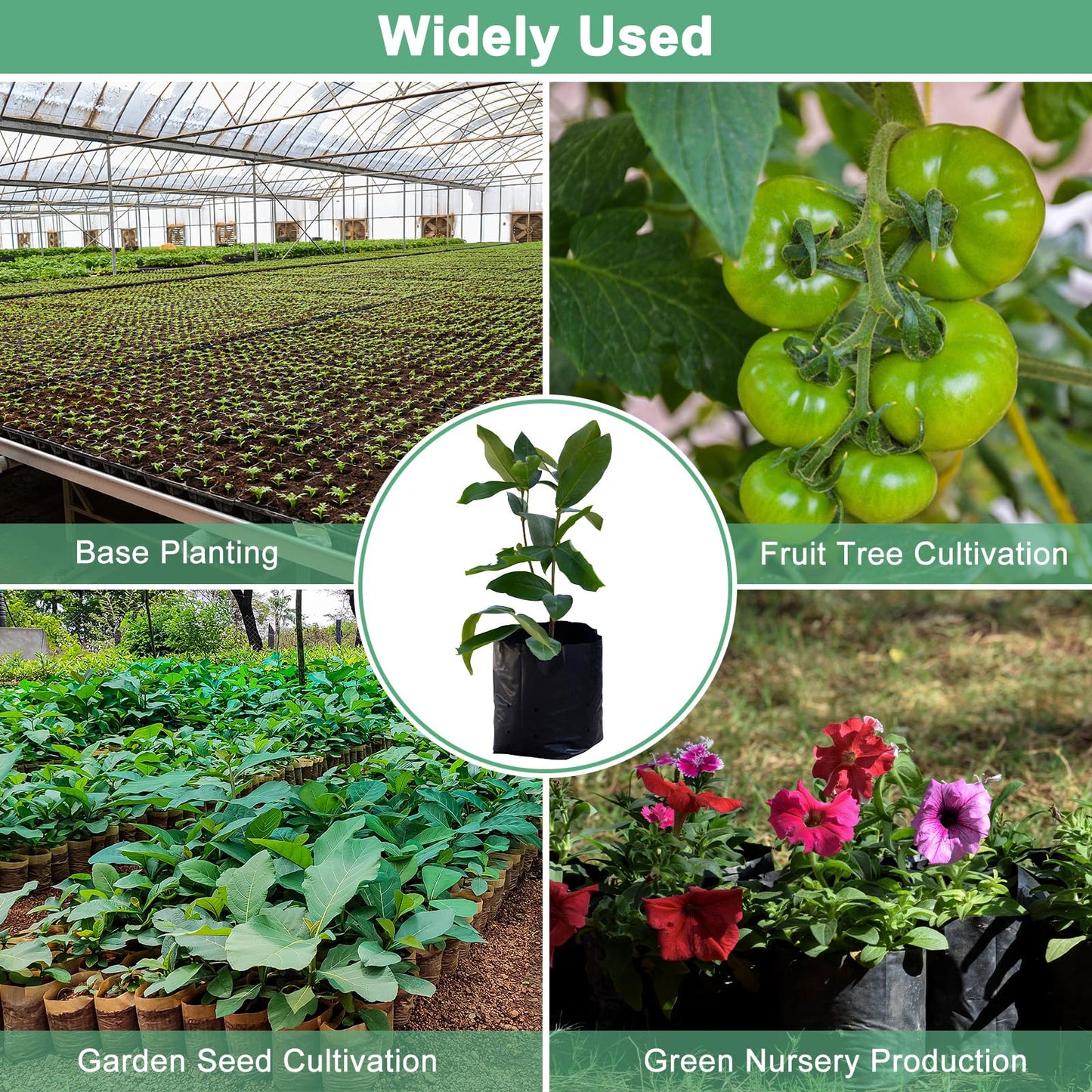 M METERXITY 100-Pack Nursery Growing Bags, 6.7" x 9.8" Thicken Plastic Nursery Bags, Gardening Seed Plant Bags for Potato/Flower/Tomato/Plant Starts/Home Gardening Supplies [Black]