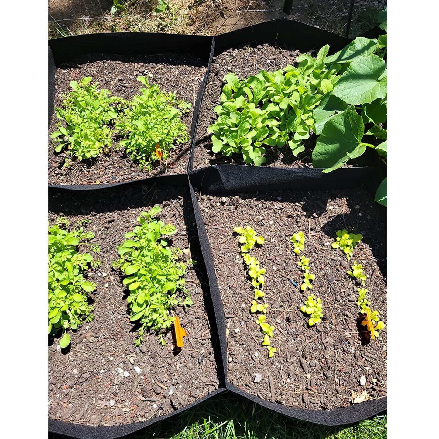 CJGQ Fabric Raised Garden Bed, 2Pack 8 Grids Plant Grow Bags, 3x6FT Breathable Planter Raised Beds for Growing Vegetables Potatoes Flowers, Rectangle Planting Container for Outdoor Gardening