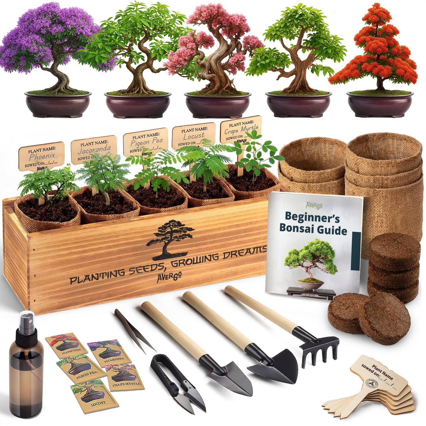 Bonsai Tree Kit for Beginners – 5X Unique Japanese Bonzai Trees | Complete Indoor Bonsai Starter Kit for Growing Bonsai Plants with Tools & Planters – DIY Gardening Gifts for Women & Men
