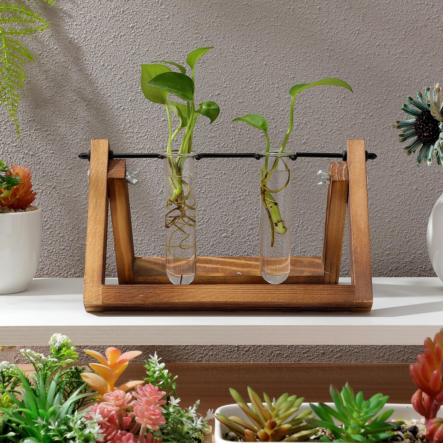 Healvian 5pcs Glass Test Tube Hydroponic Plant Vase Propagation Station for Desk Small Terrarium Flowers Home Décor 2.5x3x11cm