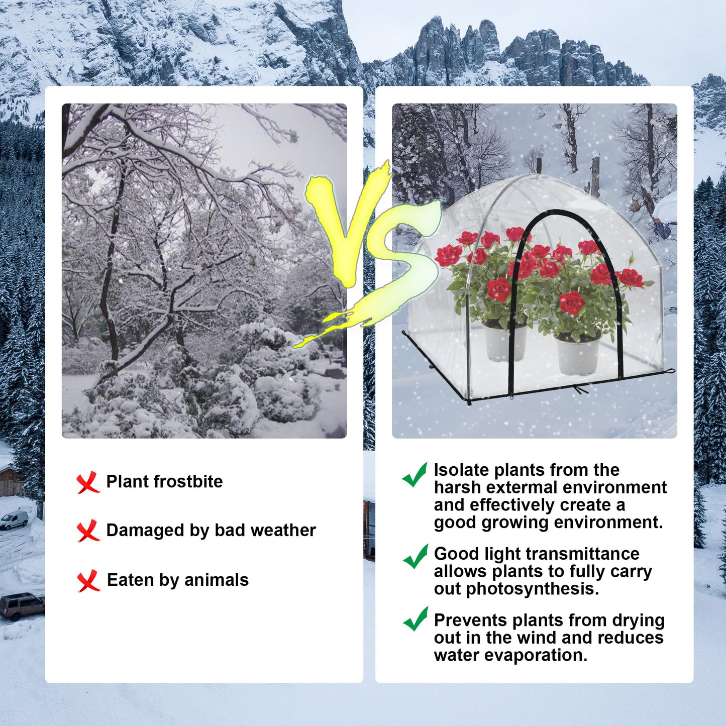 36″*36″*35.5″, Mini Greenhouse Winter Plant Warm Covers - Raised Bed Cover for Seed Starting, Warm Tent Freeze Protection Humidity Domes for Gardening & Winter Shelter and Protecting Plants, 2pcs