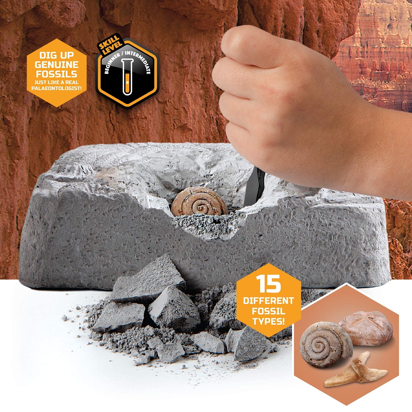 Discovery Colossal Fossil Dig Set, 15-Piece Archeology Excavation Kit, Uncover Real Shark Teeth and More, STEM Toys for Boys and Girls