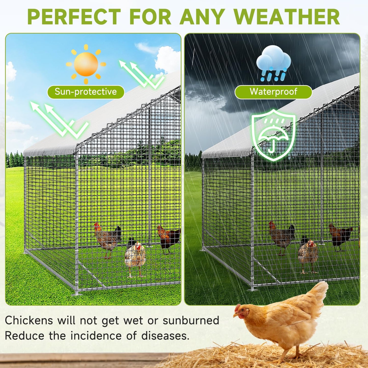 Large Walk-in Chicken Coop with Chicken Run, Galvanized Poultry Enclosure with Waterproof Anti-UV Cover and Security Lock, Ideal for Rabbit, Duck, Backyard and Farm Yard，13.1'x 9.8'x 6.6'