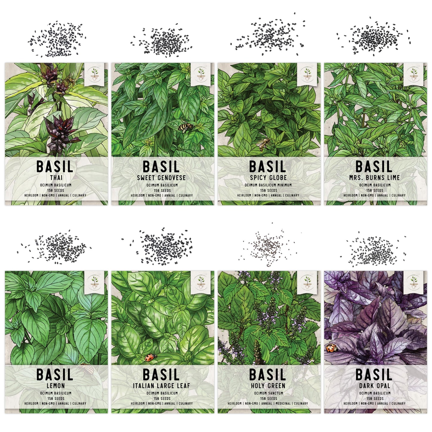 Seed Needs Culinary Basil Herb Seed Packet Collection (8 Individual Basil Seed Varieties for Planting) Non-GMO & Untreated Kitchen Herbs to Plant Indoors/Outdoors