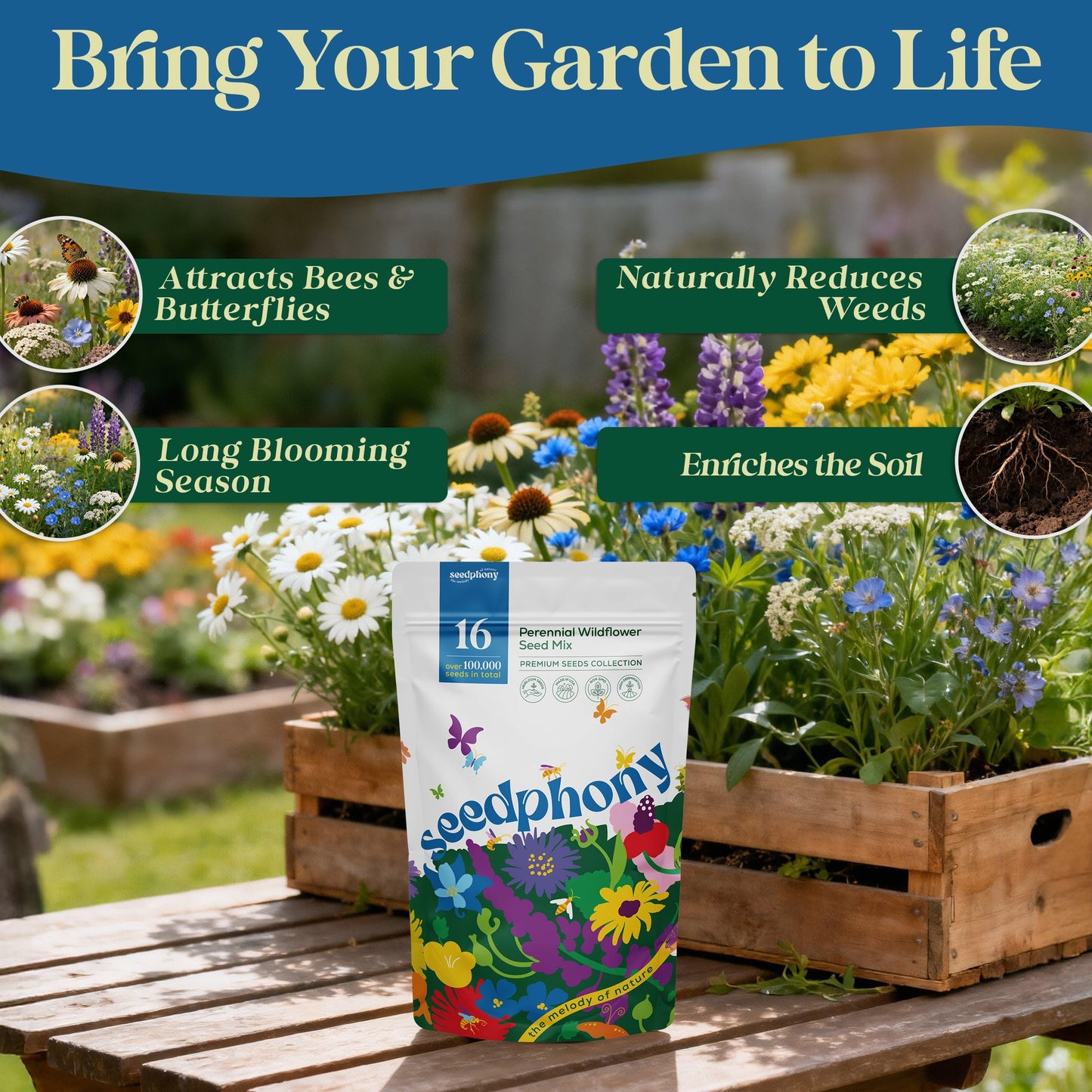 Seedphony 16 Perennial Wildflower Mix 4 oz - 100,000 Non-GMO Heirloom Wildflower Seeds for Planting Garden, Wild Flowers in Waterproof Seed Packet, Floral Seeds for Planting Indoor & Outdoor Gardening