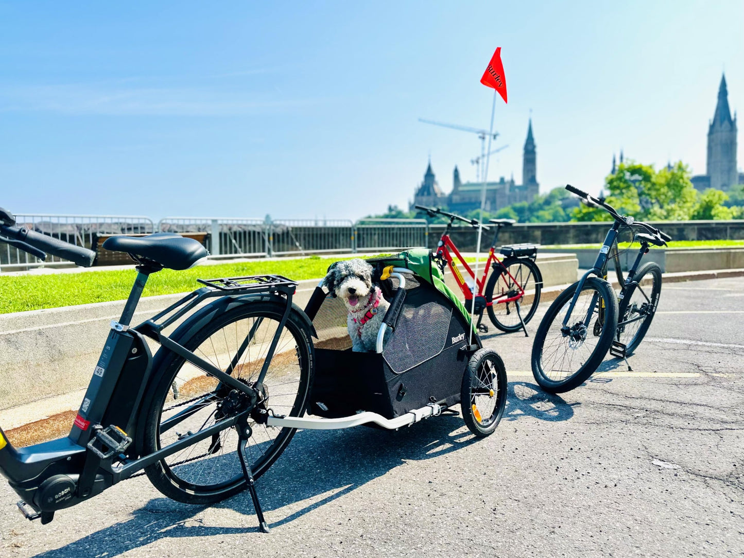 Burley Tail Wagon | Lightweight Dog Bike Trailer with Mesh Windows, Removable Floor & Low-Clearance Entry
