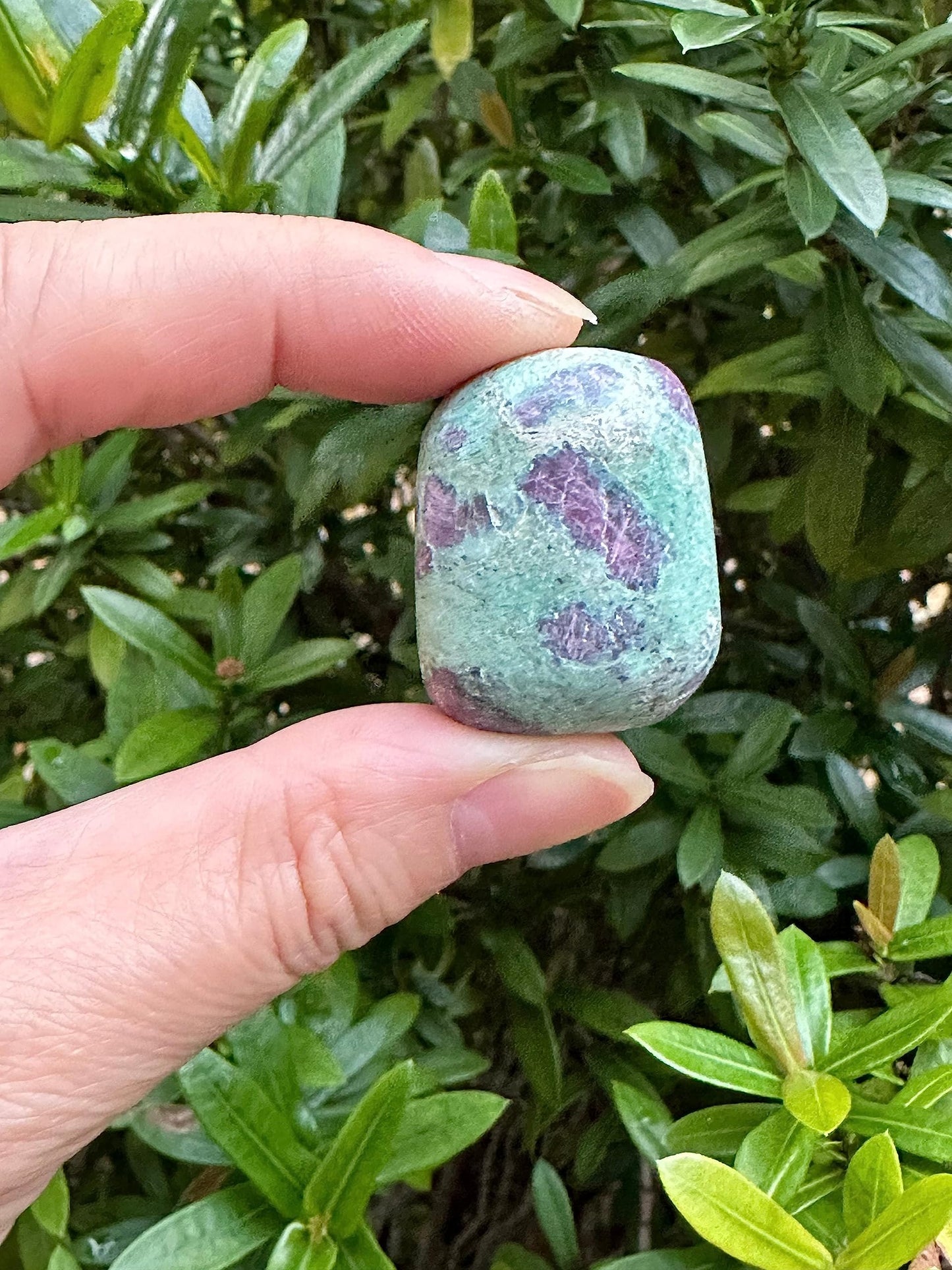 GAF TREASURES Wholesale Ruby Fuchsite Tumbled Stones, Polished Natural Ruby Fuchsite Gemstone, Ruby Fuchsite Polished Rocks (Ruby Fuchsite, 0.25 Pound)