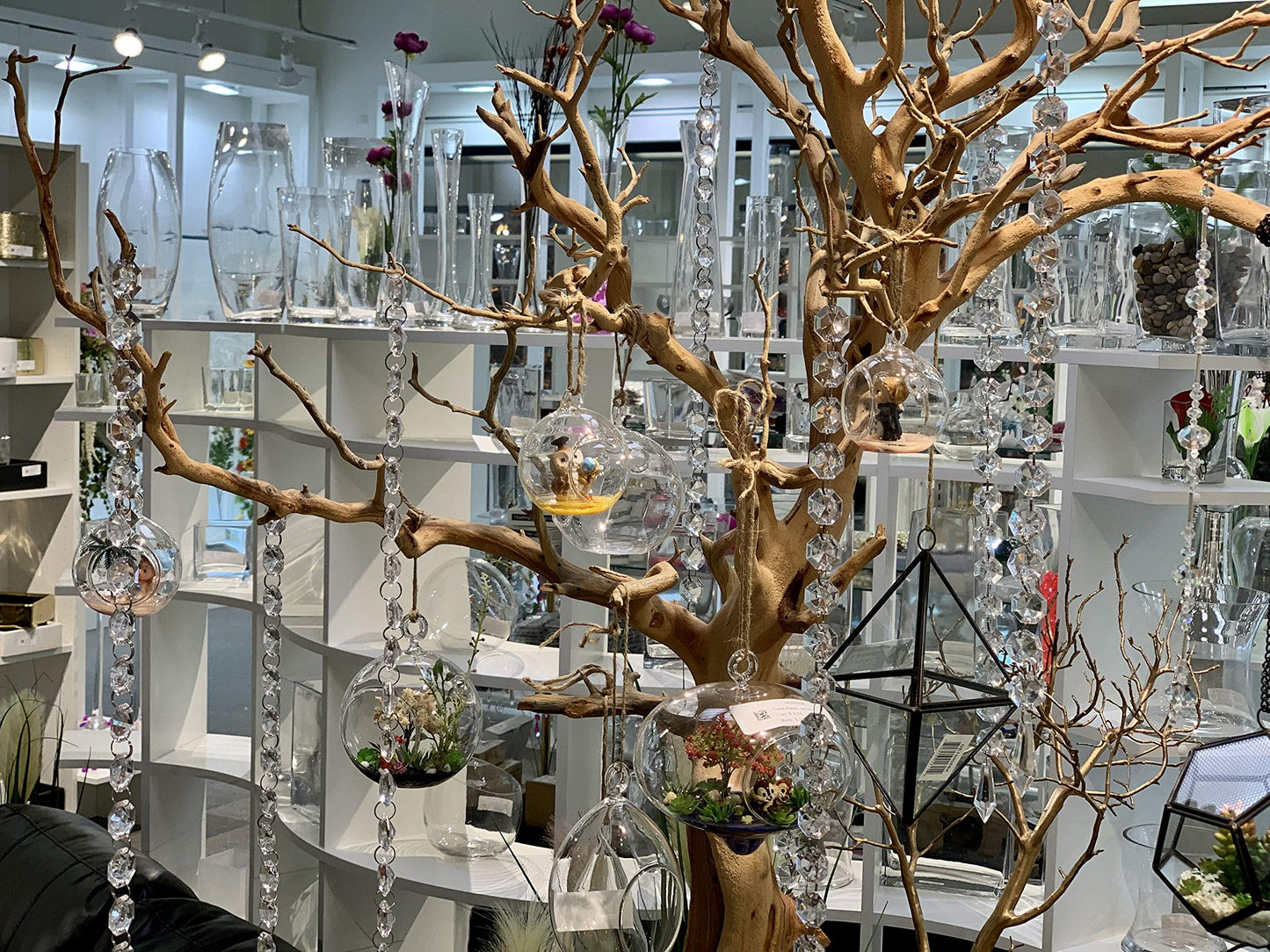 WGV Hanging Terrarium Globe, Width 4", Height 6", Double Hook, DIY Air Succulent Planter, Clear Glass Vase Orb, Candle Holder for Windowsill Outdoor Garden Decor, 1 Piece