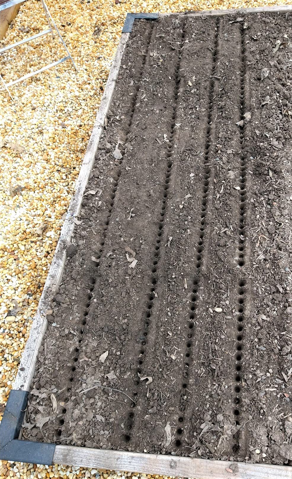 Gardinnovations Seed-in Soil Digger and Soil Spacer for Planting Seeds