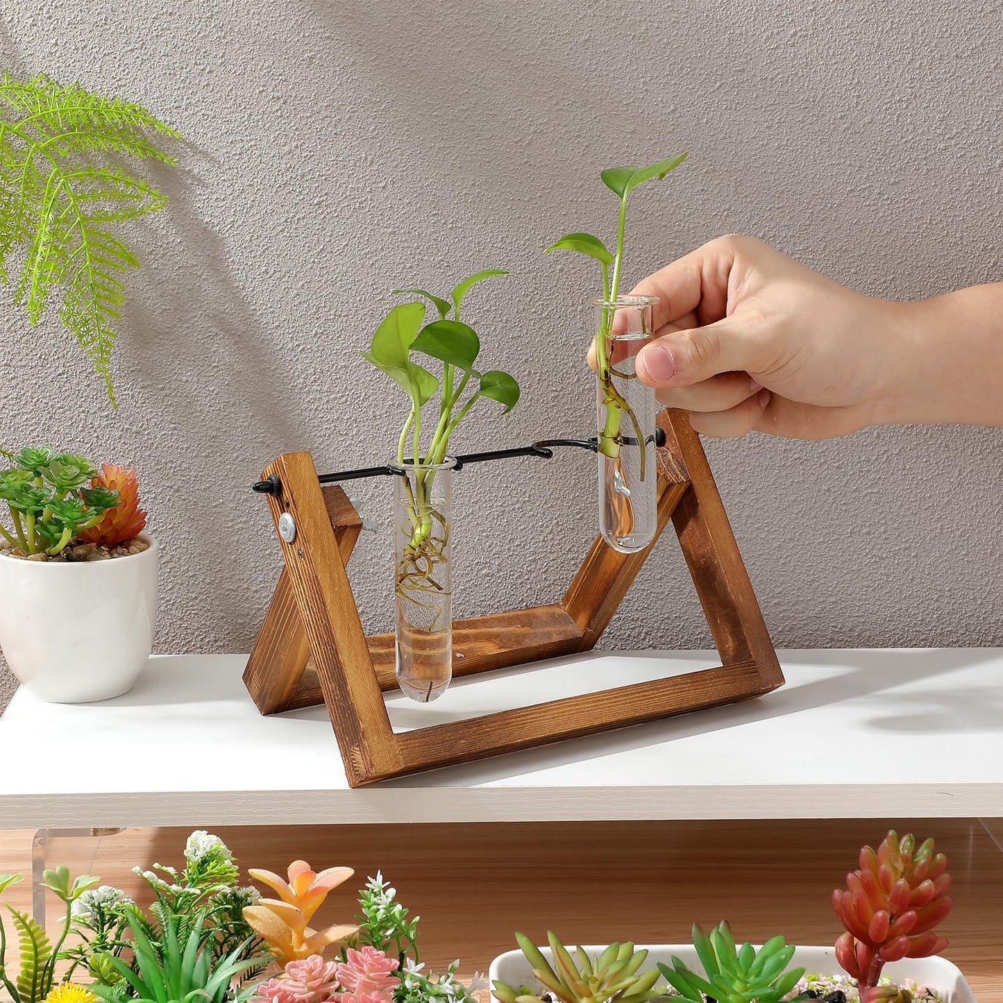 Healvian 5pcs Glass Test Tube Hydroponic Plant Vase Propagation Station for Desk Small Terrarium Flowers Home Décor 2.5x3x11cm